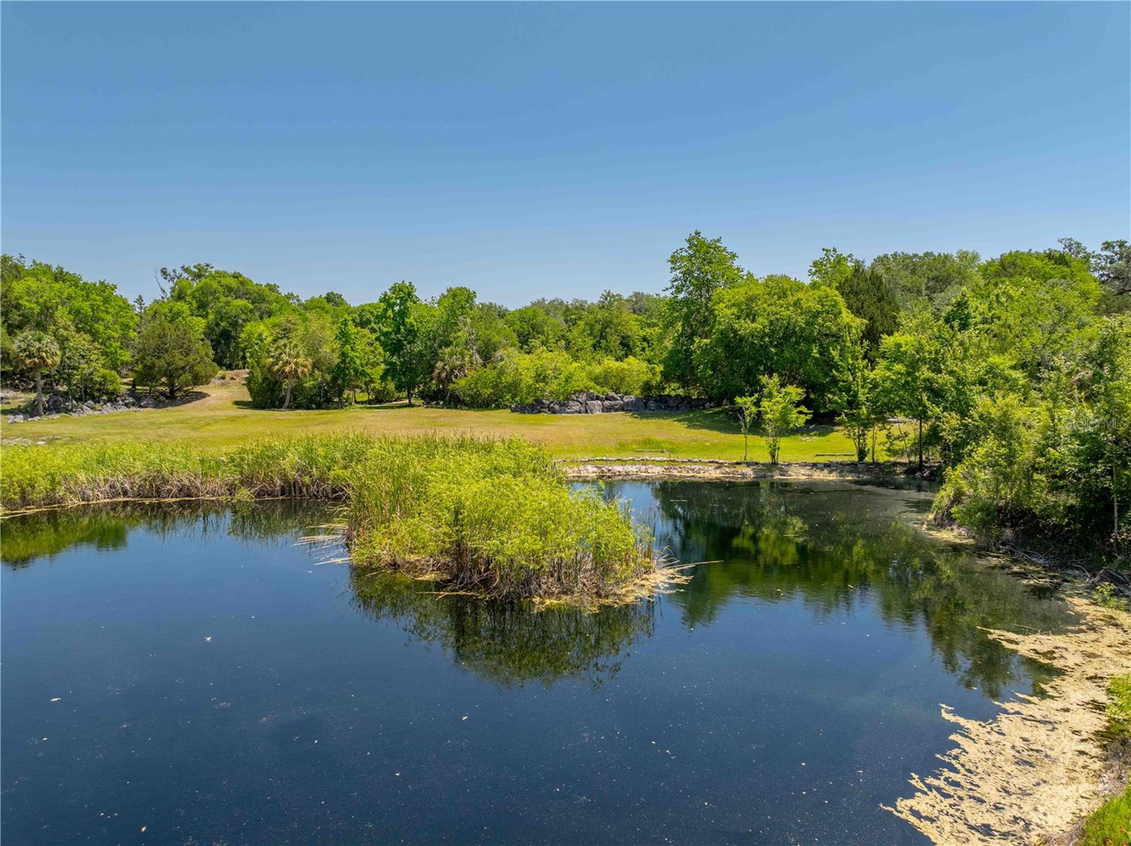 8800 S STEED TER, FLORAL CITY, FL, 34436