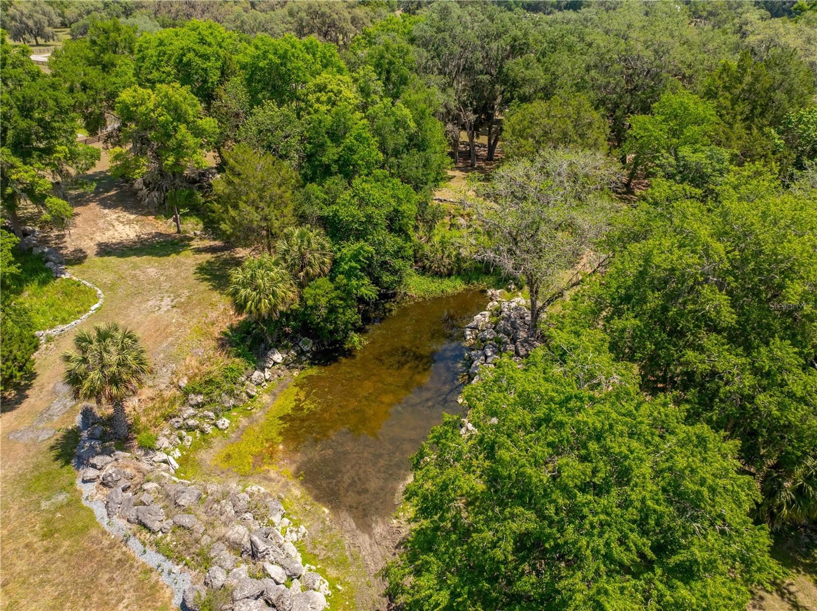 8800 S STEED TER, FLORAL CITY, FL, 34436