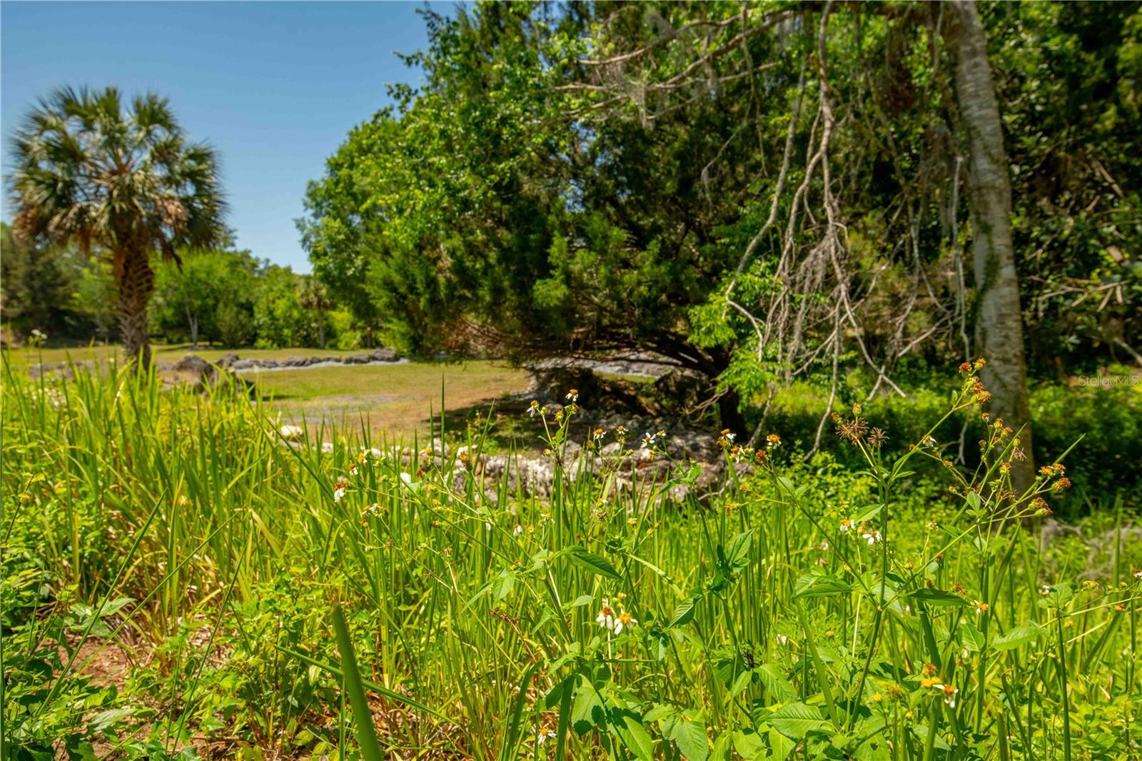 8800 S STEED TER, FLORAL CITY, FL, 34436