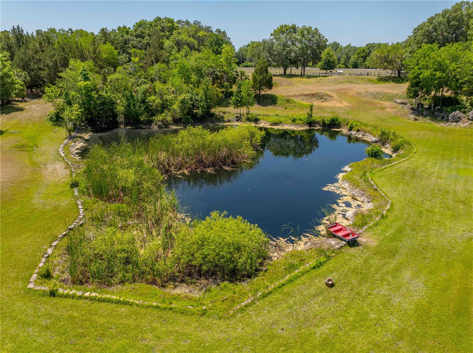 8800 S STEED TER, FLORAL CITY, FL, 34436