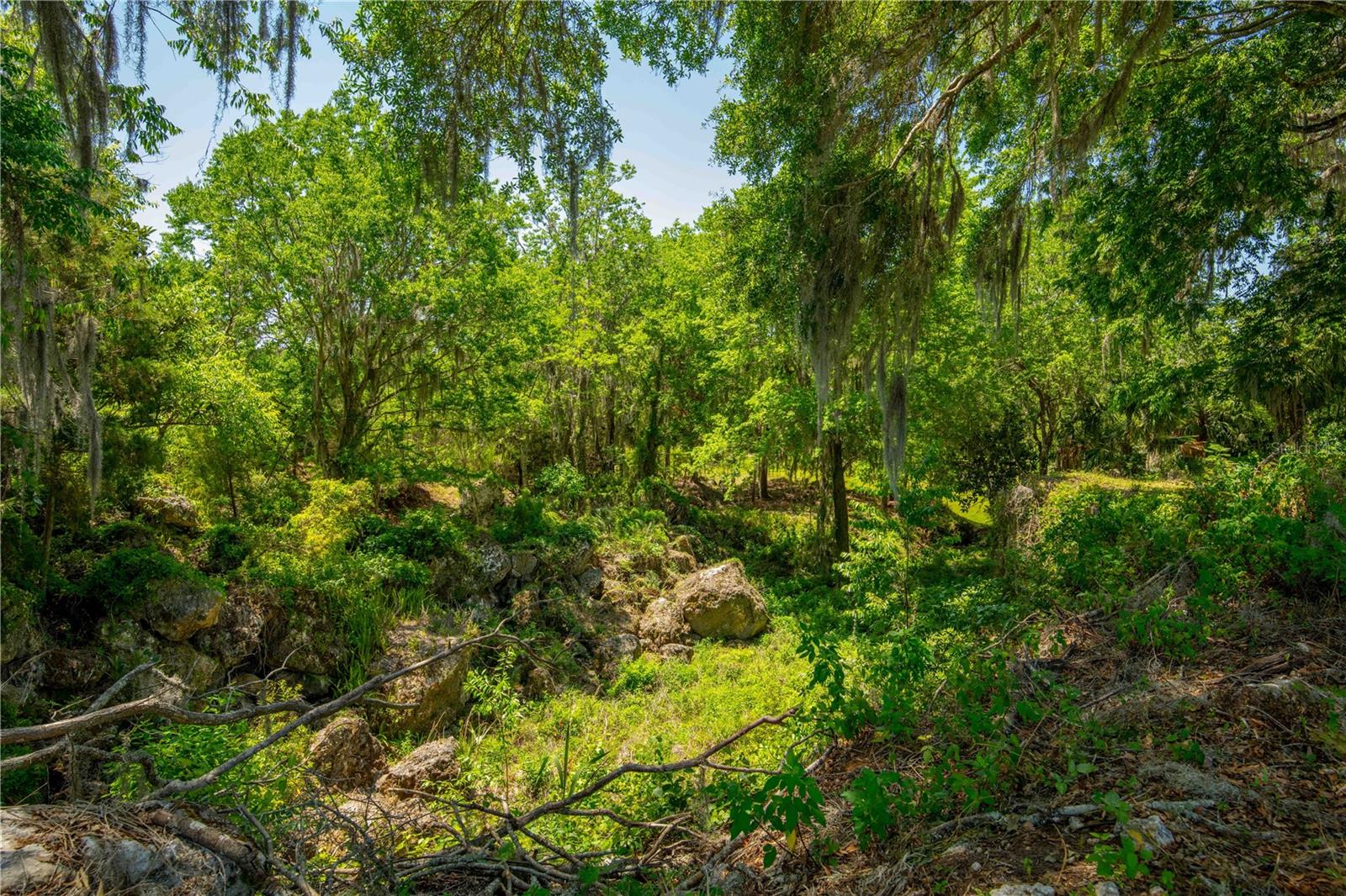 8800 S STEED TER, FLORAL CITY, FL, 34436