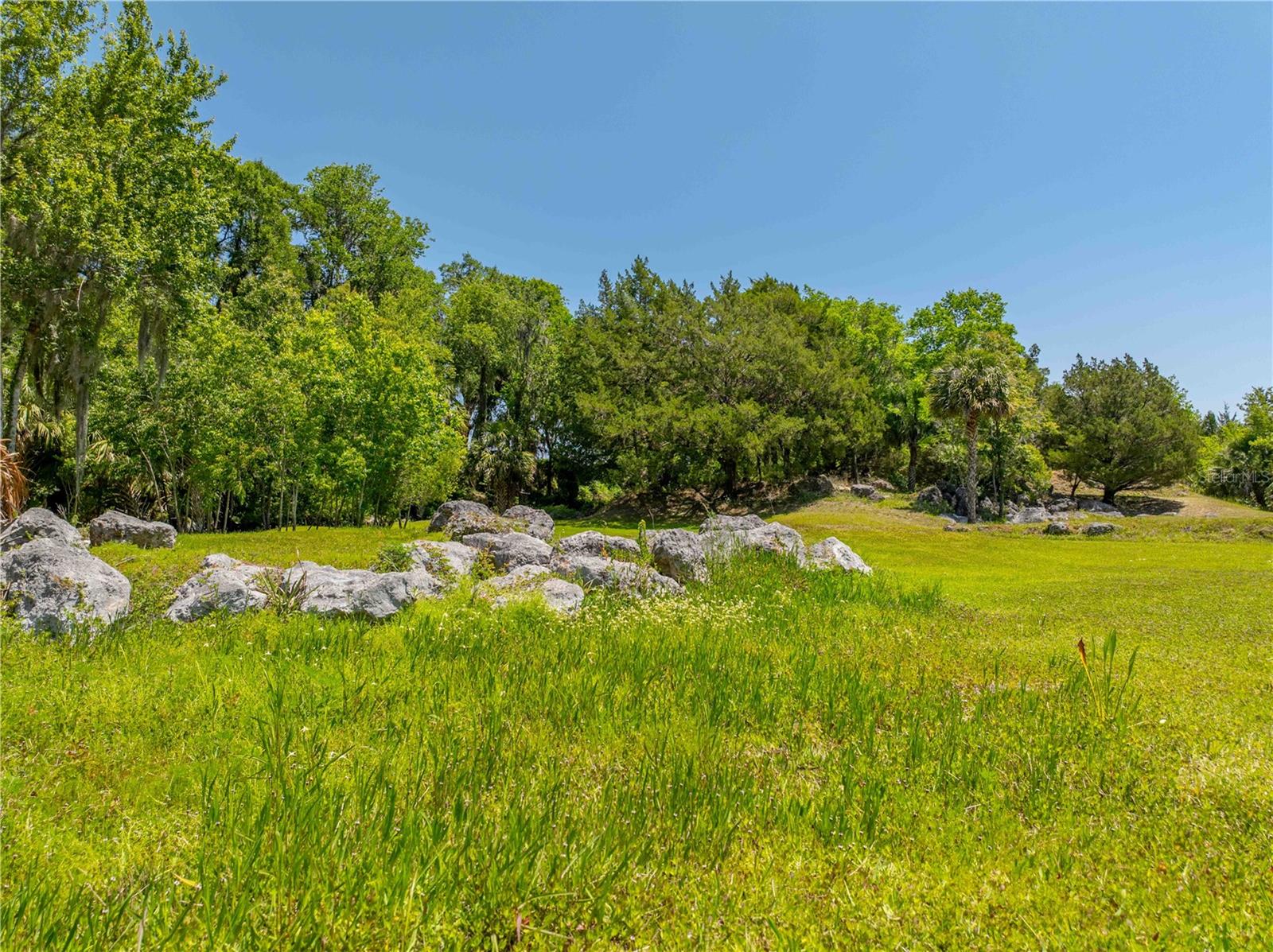 8800 S STEED TER, FLORAL CITY, FL, 34436