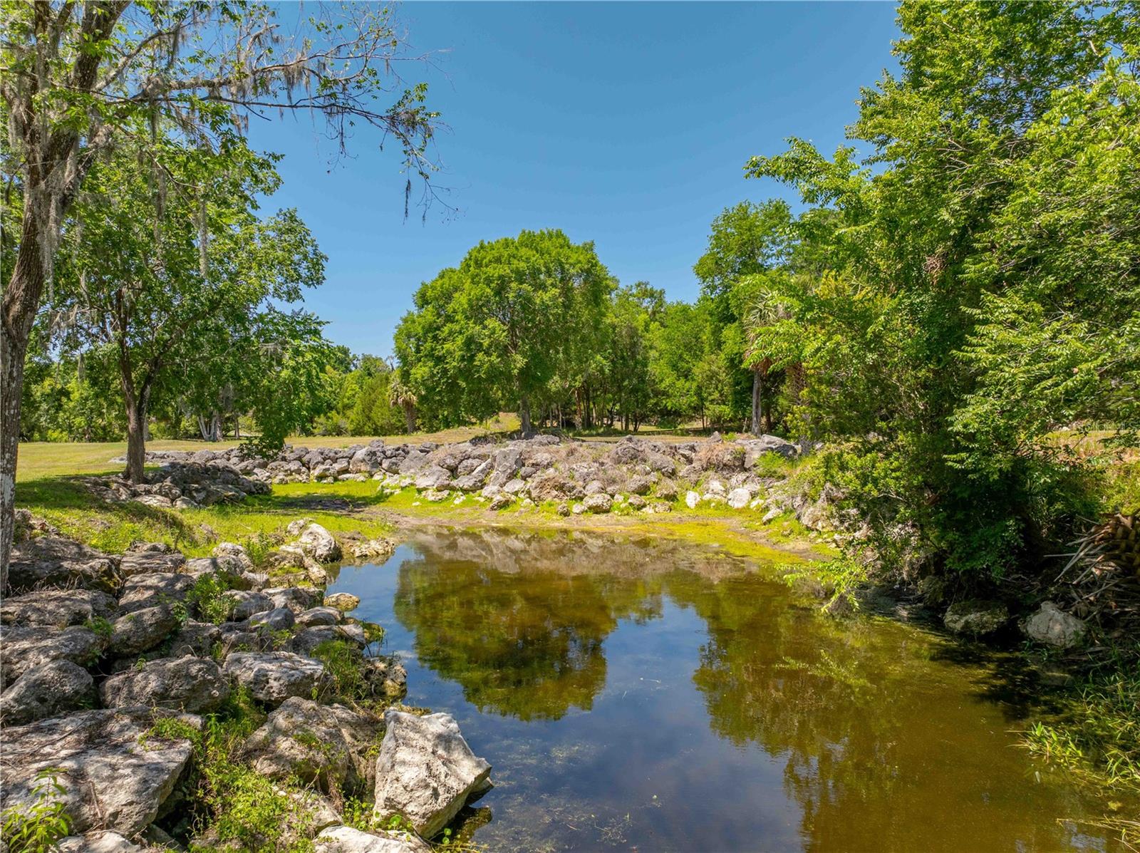 8800 S STEED TER, FLORAL CITY, FL, 34436