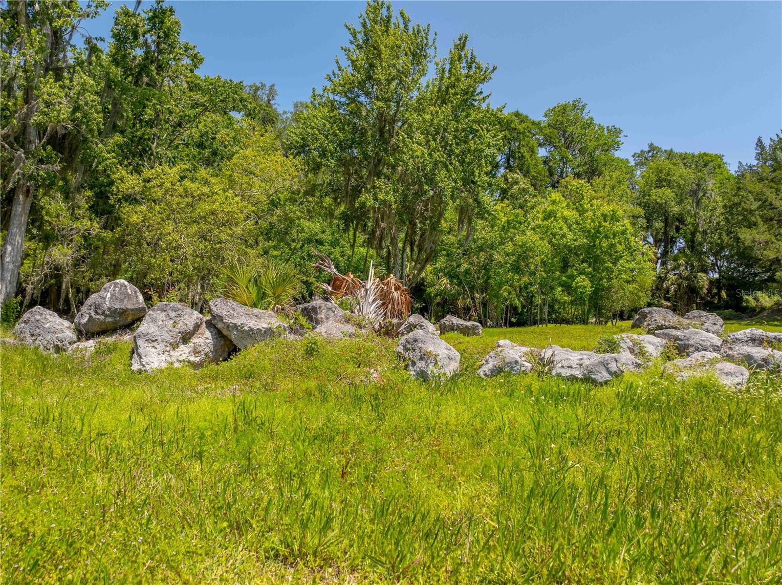 8800 S STEED TER, FLORAL CITY, FL, 34436