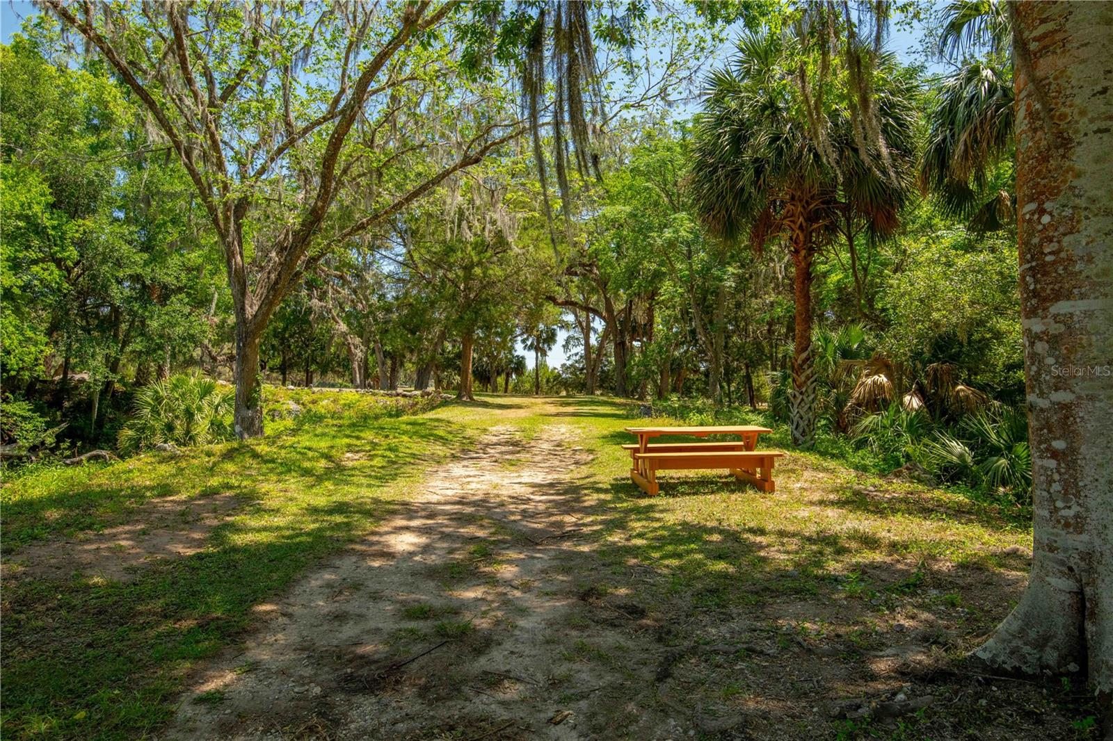 8800 S STEED TER, FLORAL CITY, FL, 34436