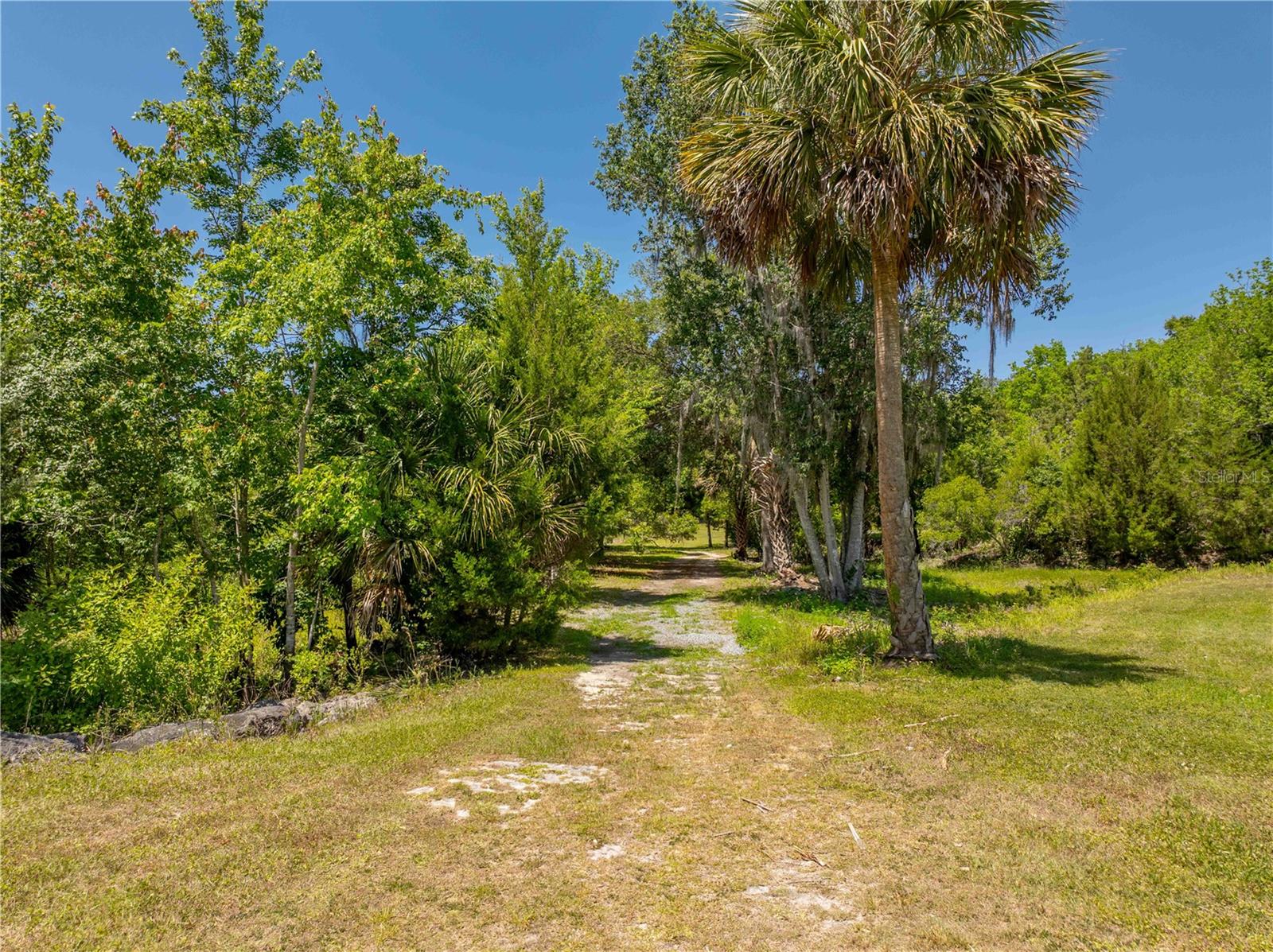 8800 S STEED TER, FLORAL CITY, FL, 34436