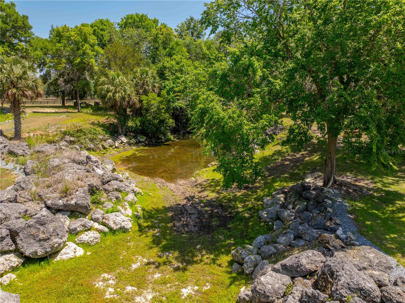 8800 S STEED TER, FLORAL CITY, FL, 34436