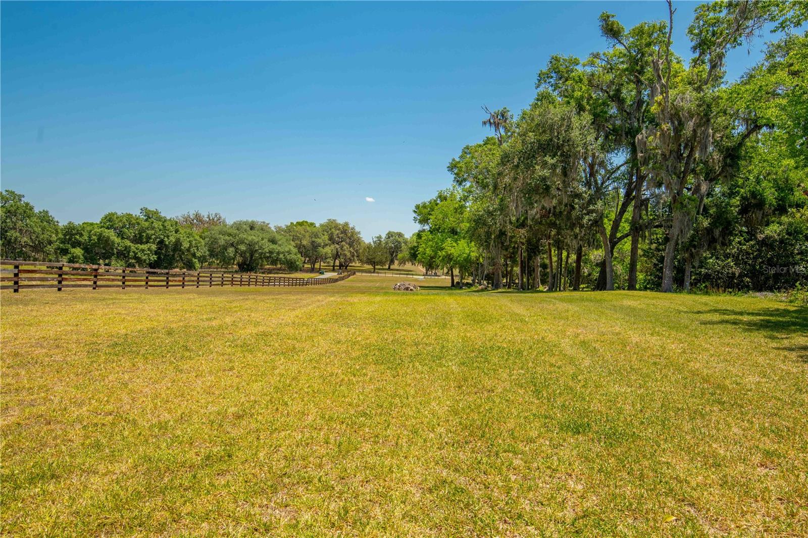 8800 S STEED TER, FLORAL CITY, FL, 34436