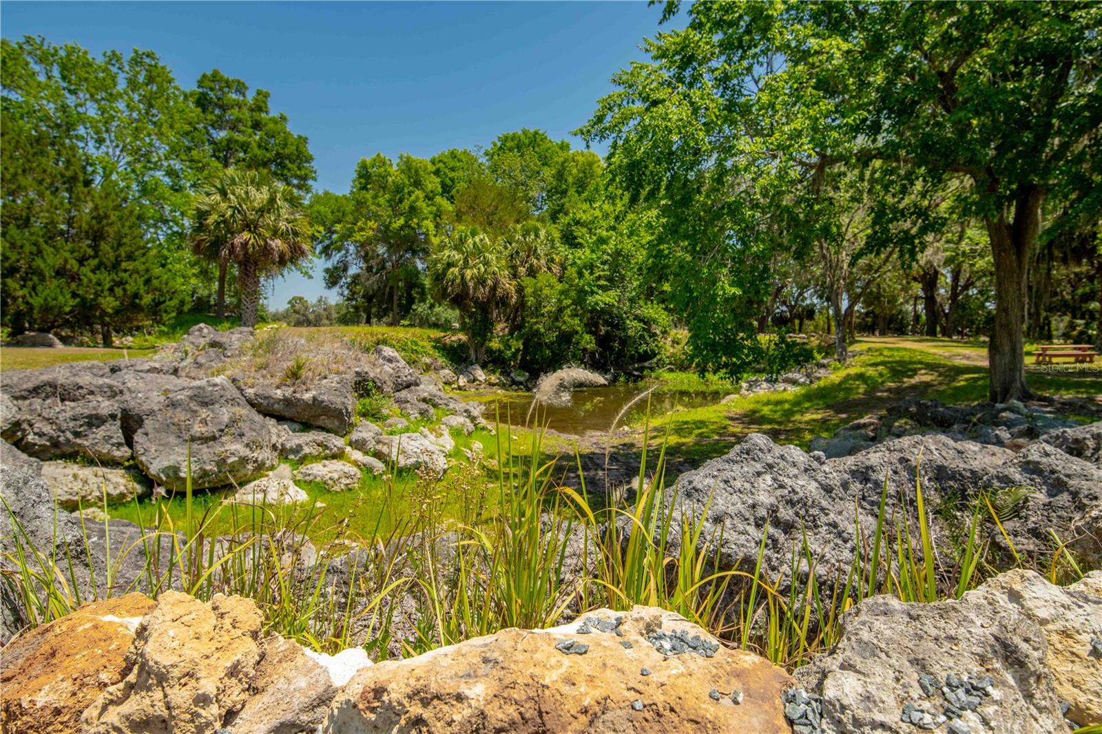 8800 S STEED TER, FLORAL CITY, FL, 34436