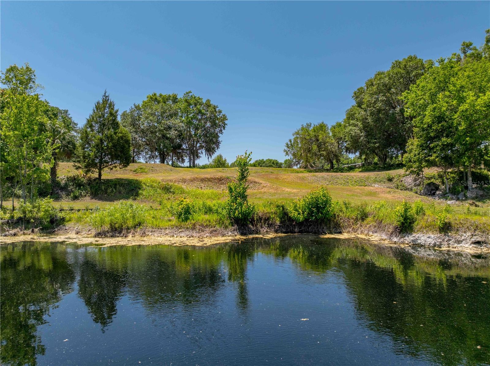 8800 S STEED TER, FLORAL CITY, FL, 34436