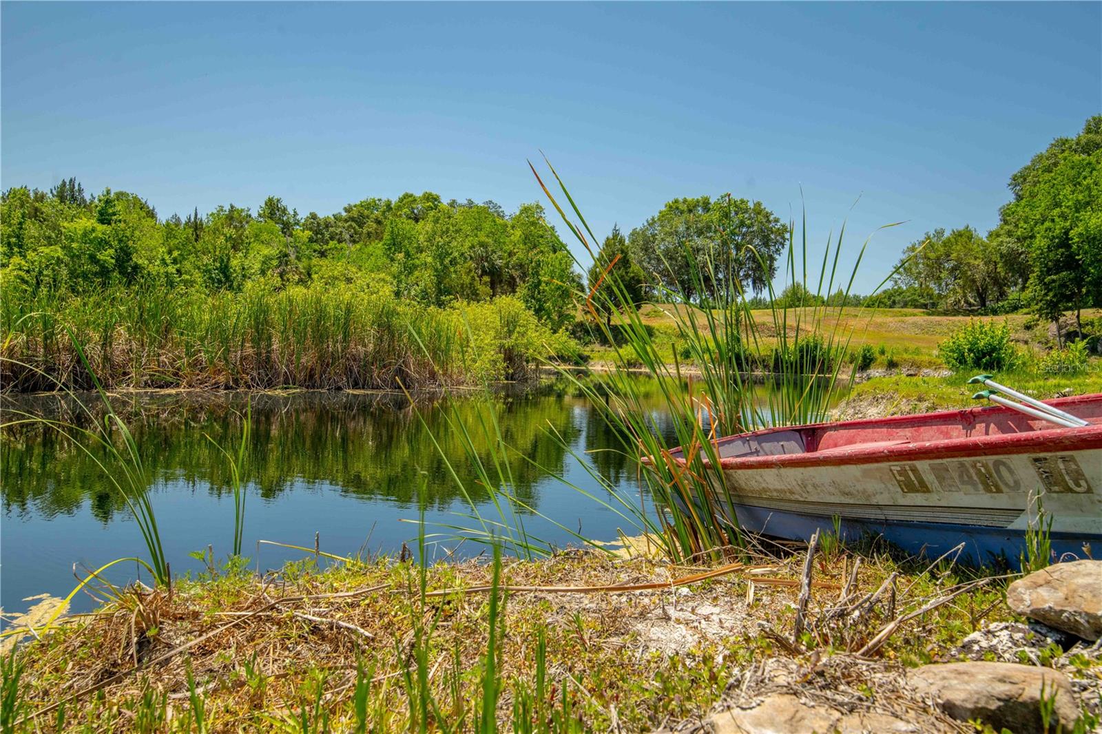 8800 S STEED TER, FLORAL CITY, FL, 34436