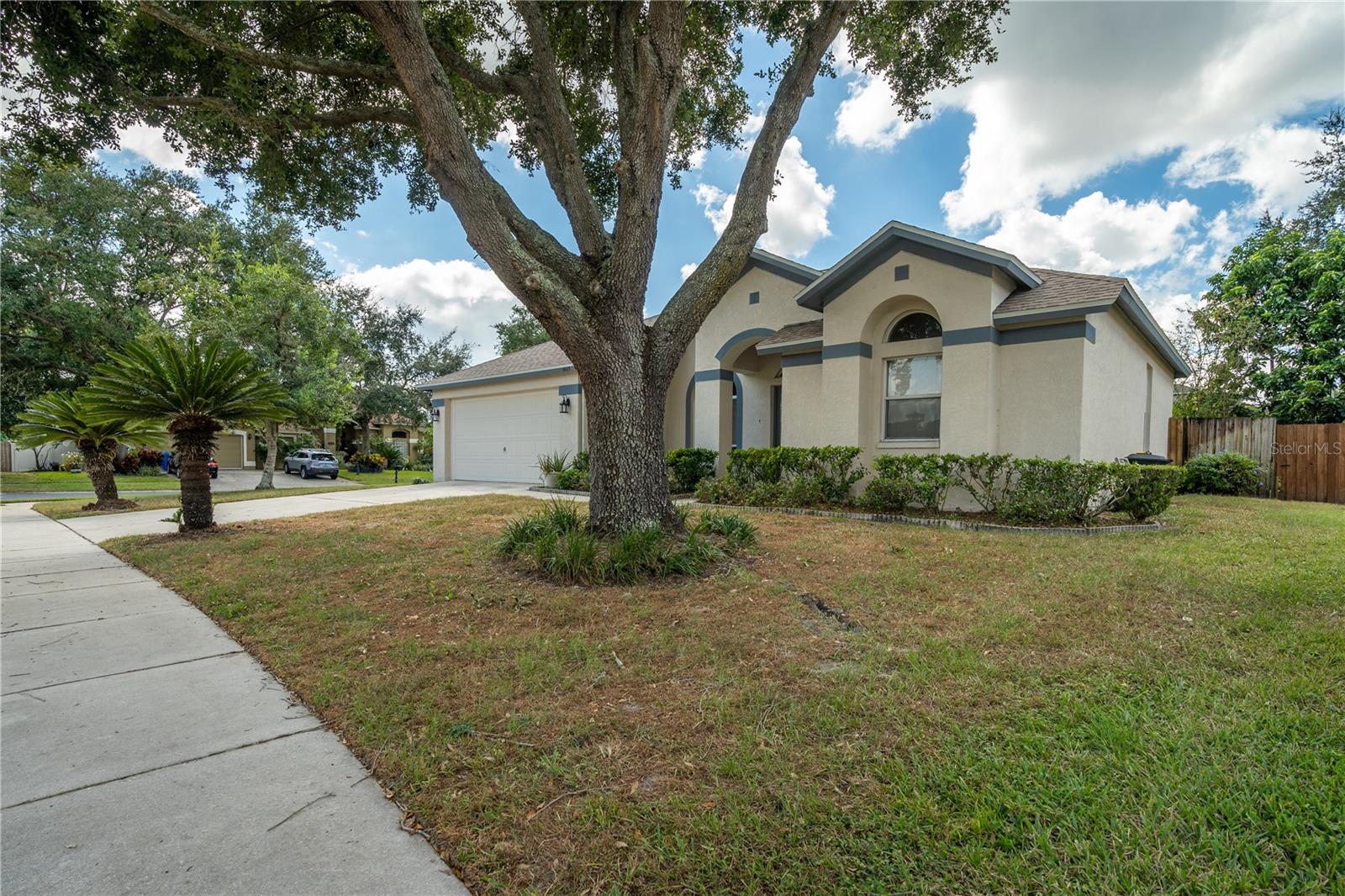 3819 TRIPLE JUMP ST, VALRICO, FL, 33596
