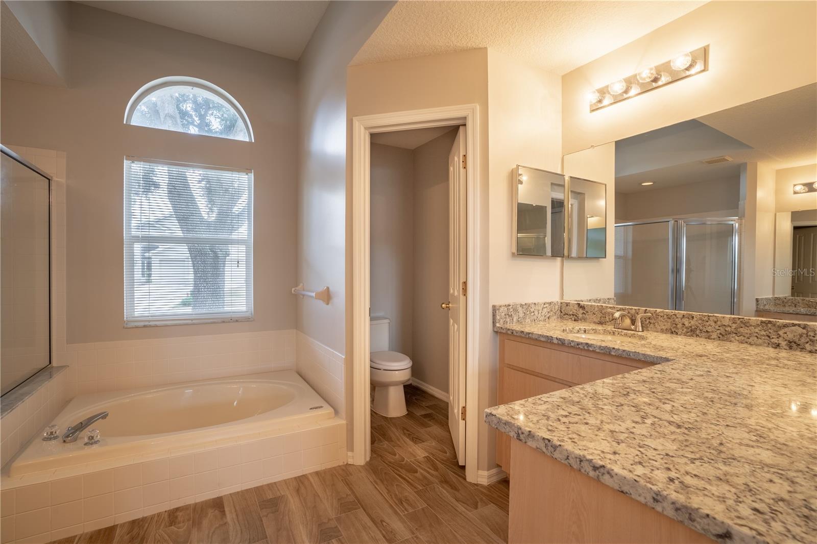 3819 TRIPLE JUMP ST, VALRICO, FL, 33596