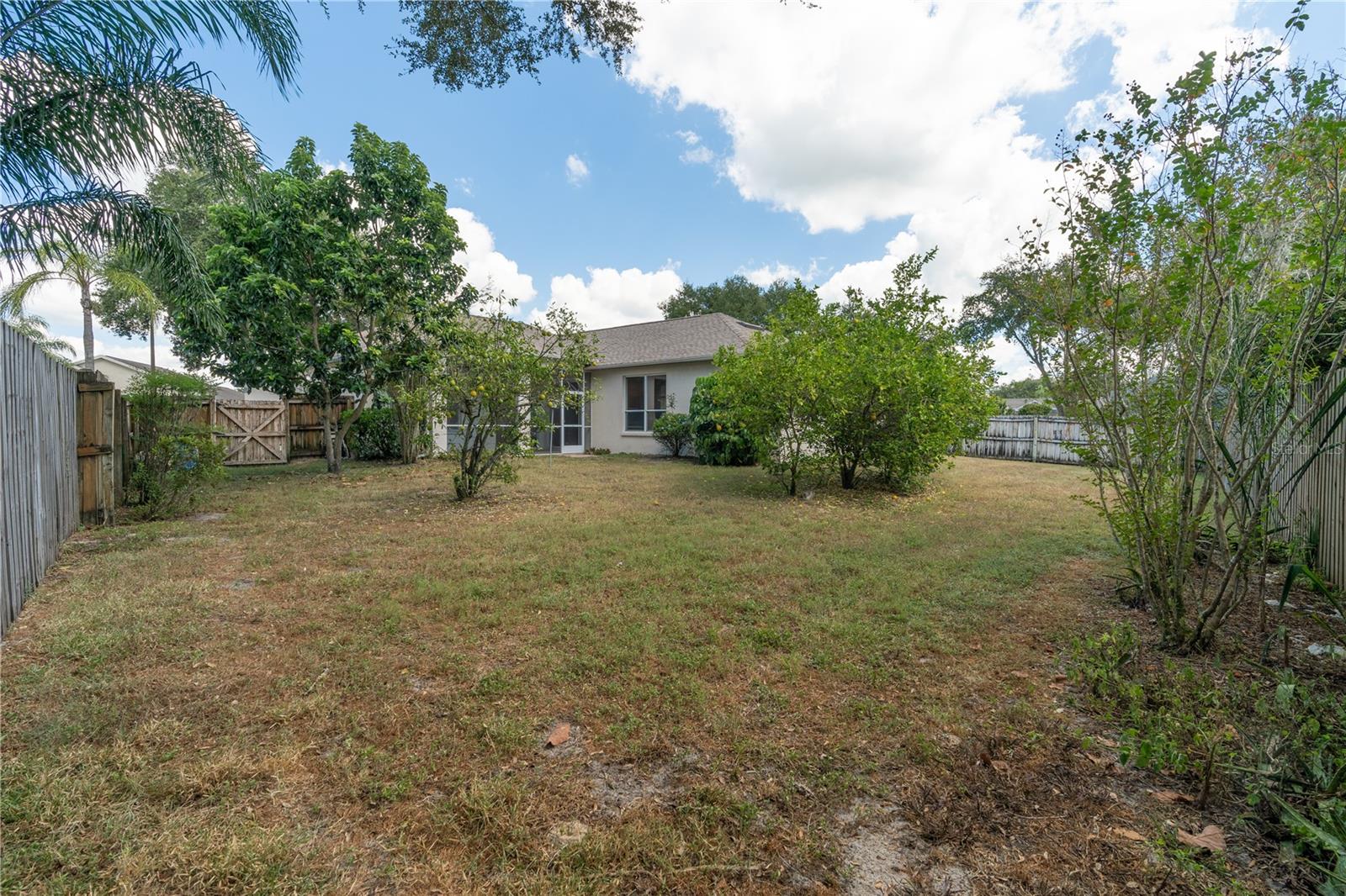 3819 TRIPLE JUMP ST, VALRICO, FL, 33596