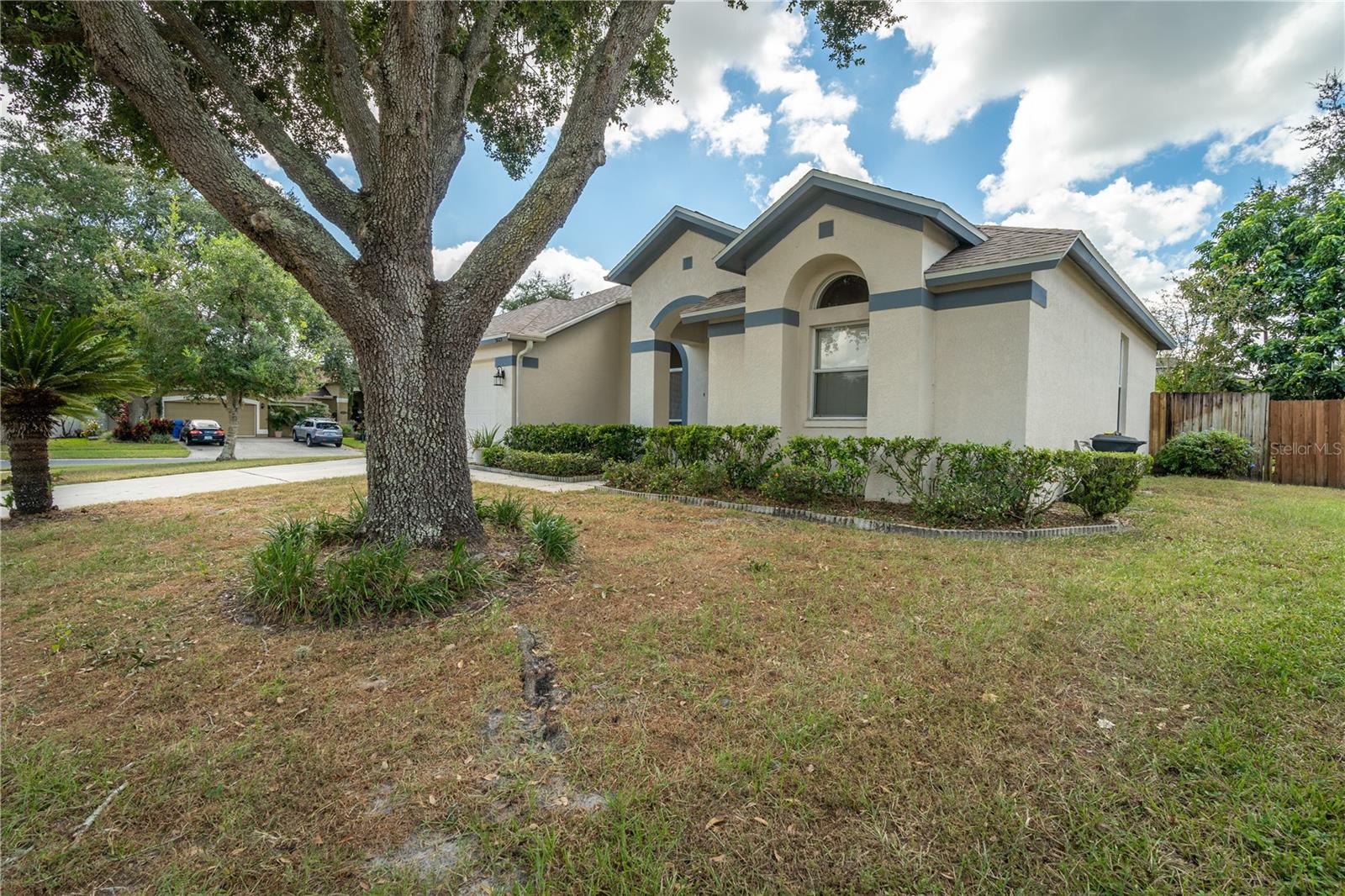 3819 TRIPLE JUMP ST, VALRICO, FL, 33596