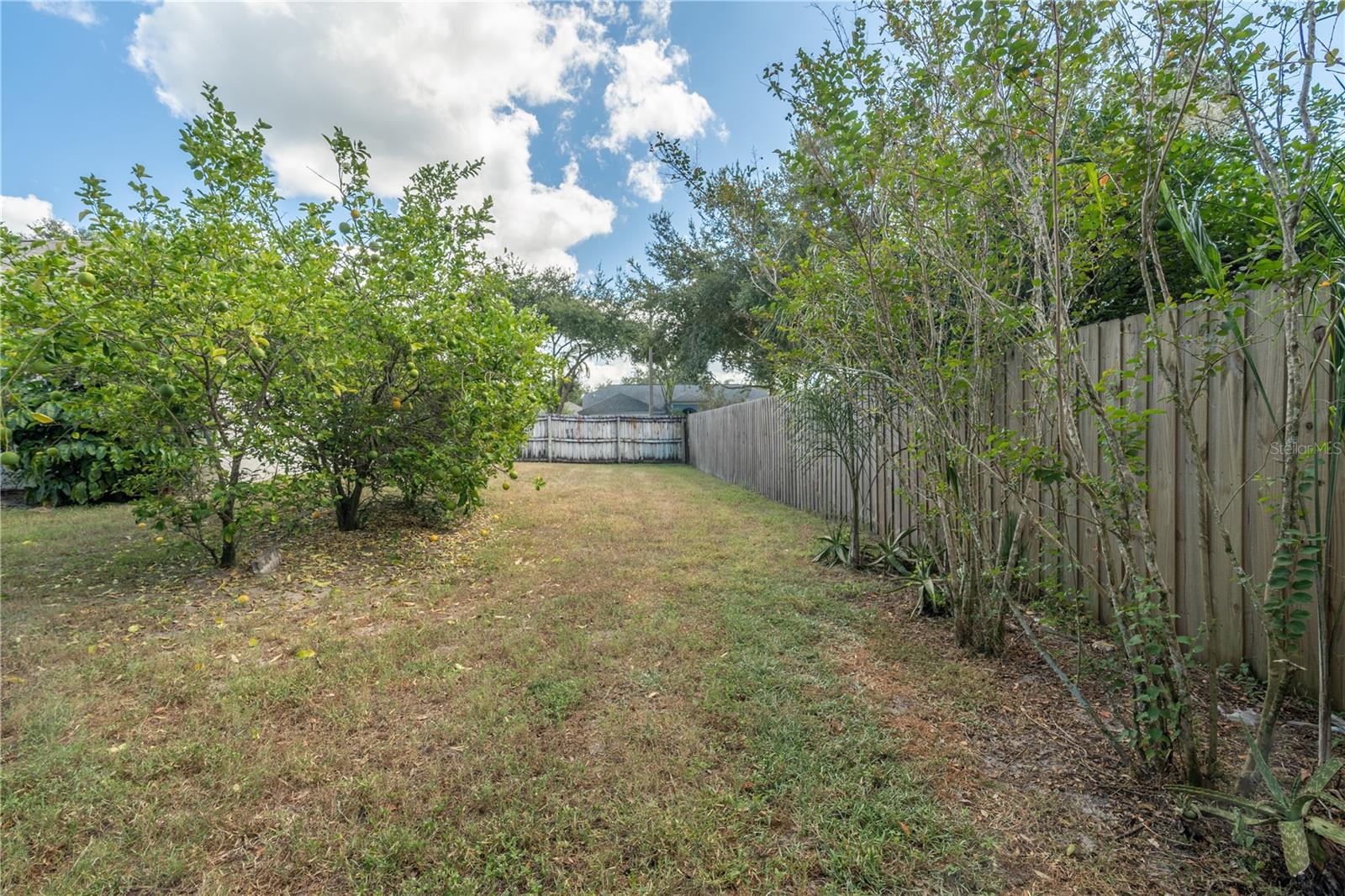 3819 TRIPLE JUMP ST, VALRICO, FL, 33596