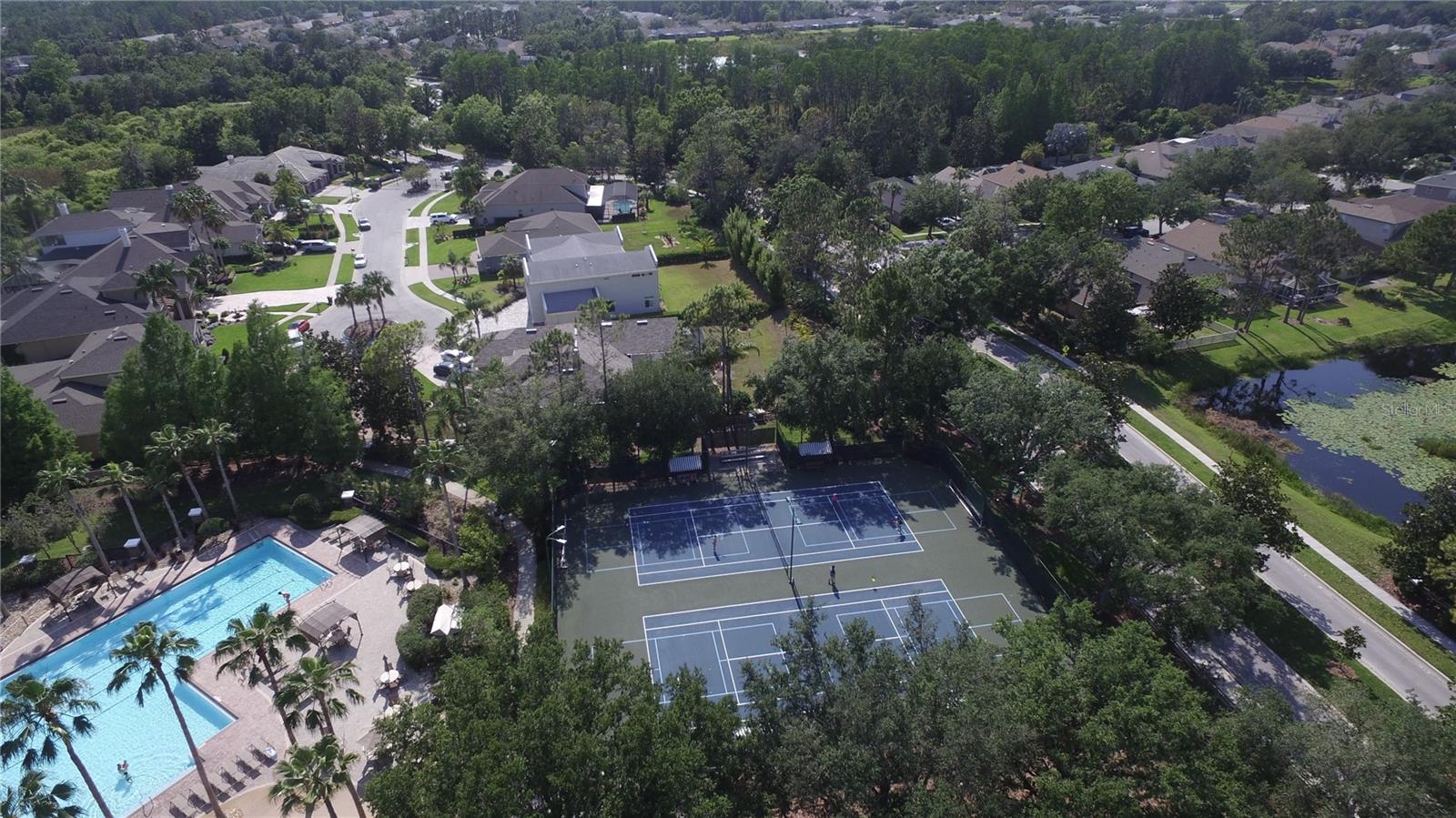 7334 NIGHT HERON DR, LAND O LAKES, FL, 34637