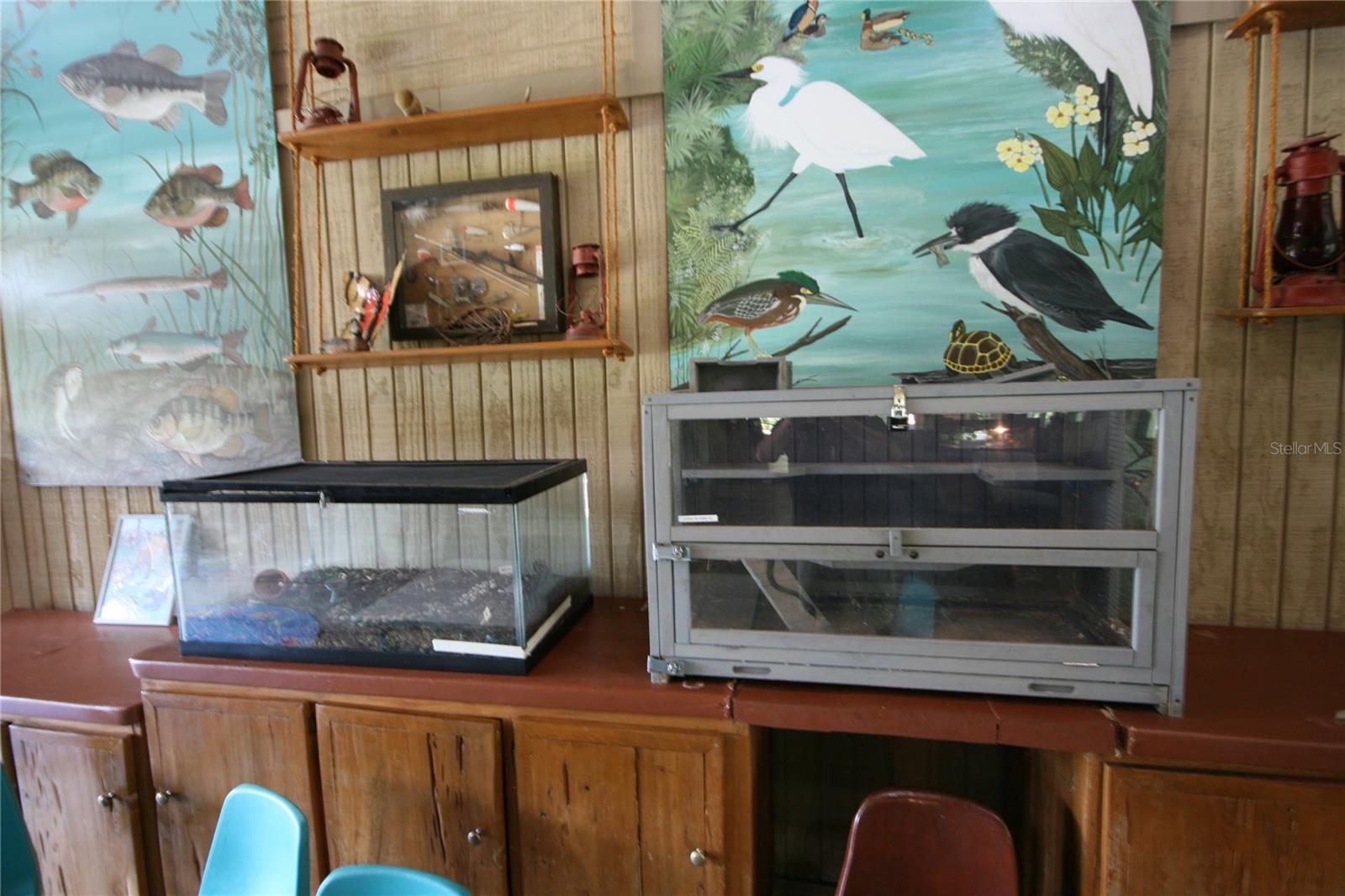 7334 NIGHT HERON DR, LAND O LAKES, FL, 34637