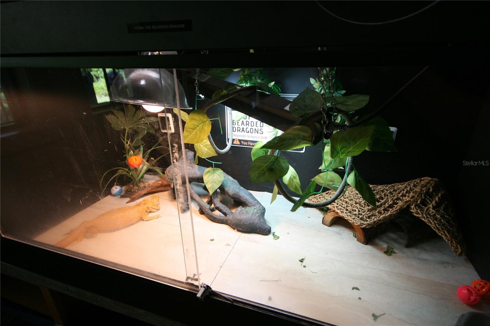 7334 NIGHT HERON DR, LAND O LAKES, FL, 34637