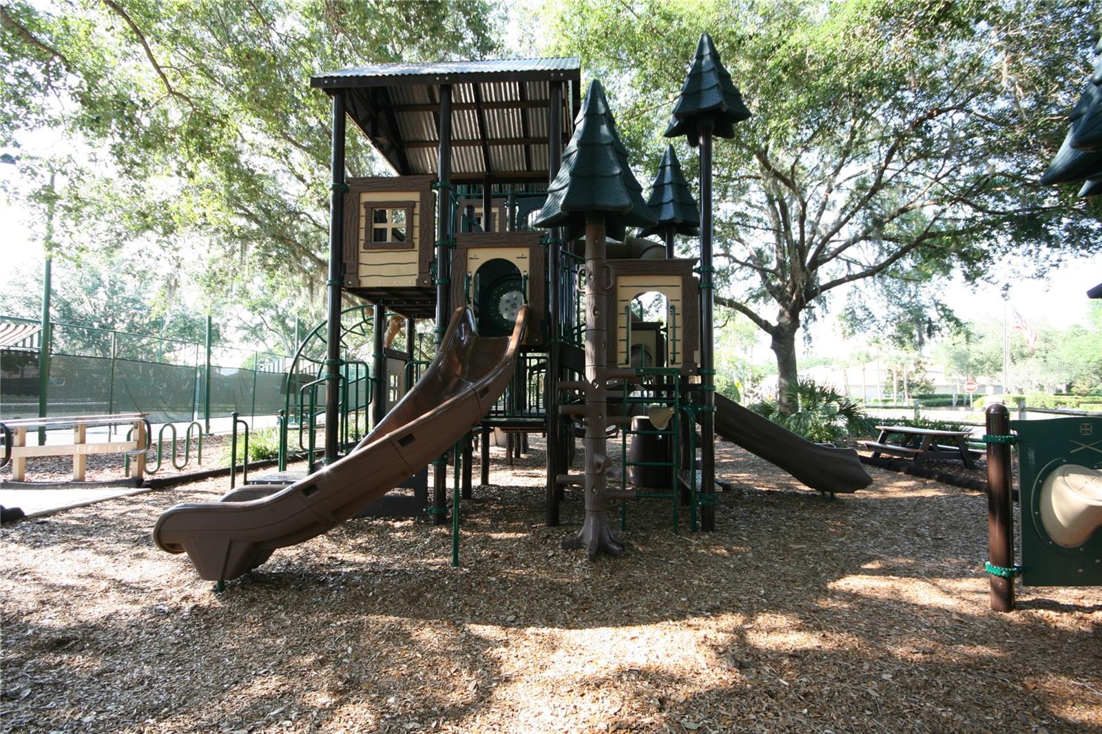 7334 NIGHT HERON DR, LAND O LAKES, FL, 34637