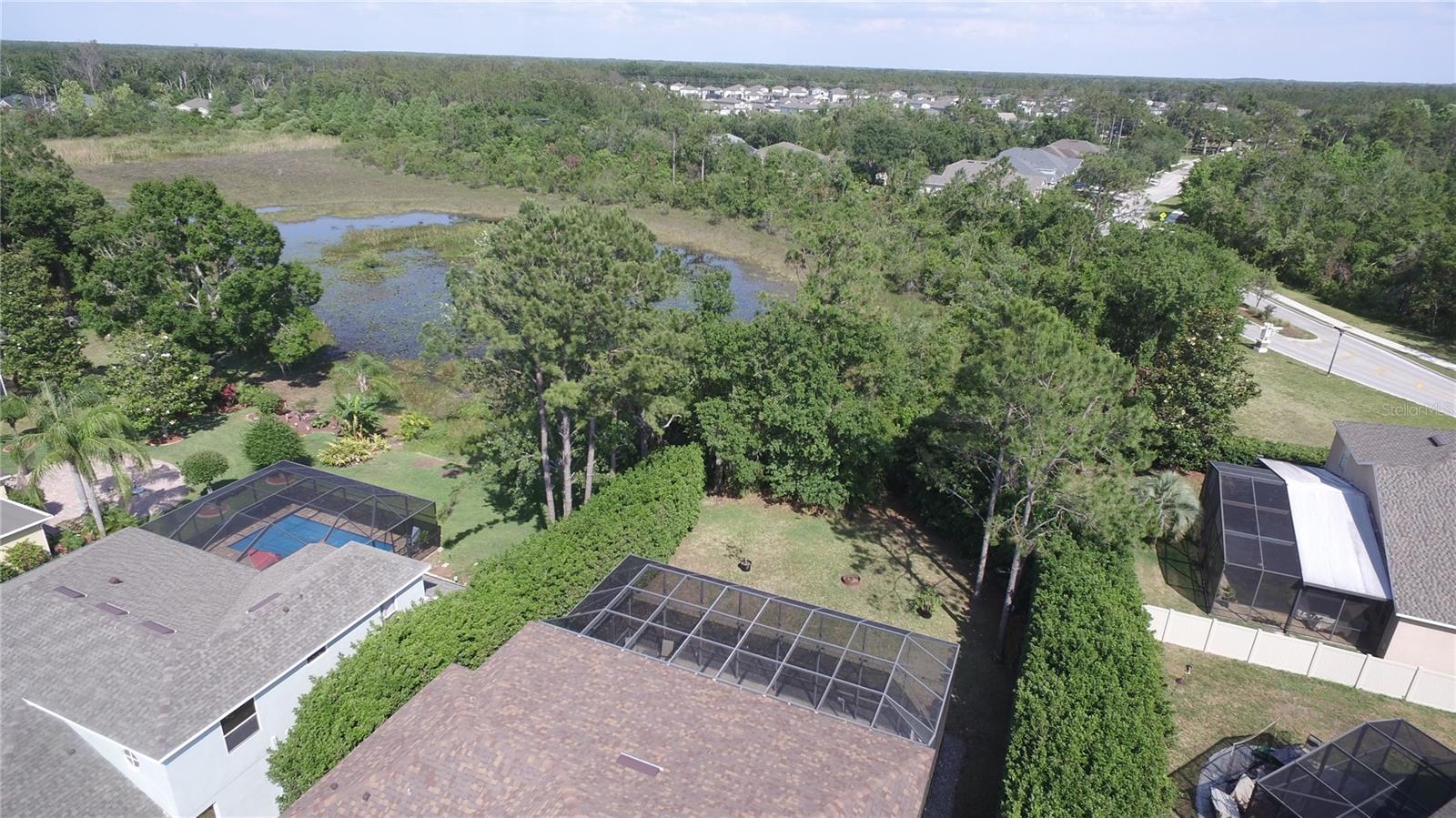 7334 NIGHT HERON DR, LAND O LAKES, FL, 34637