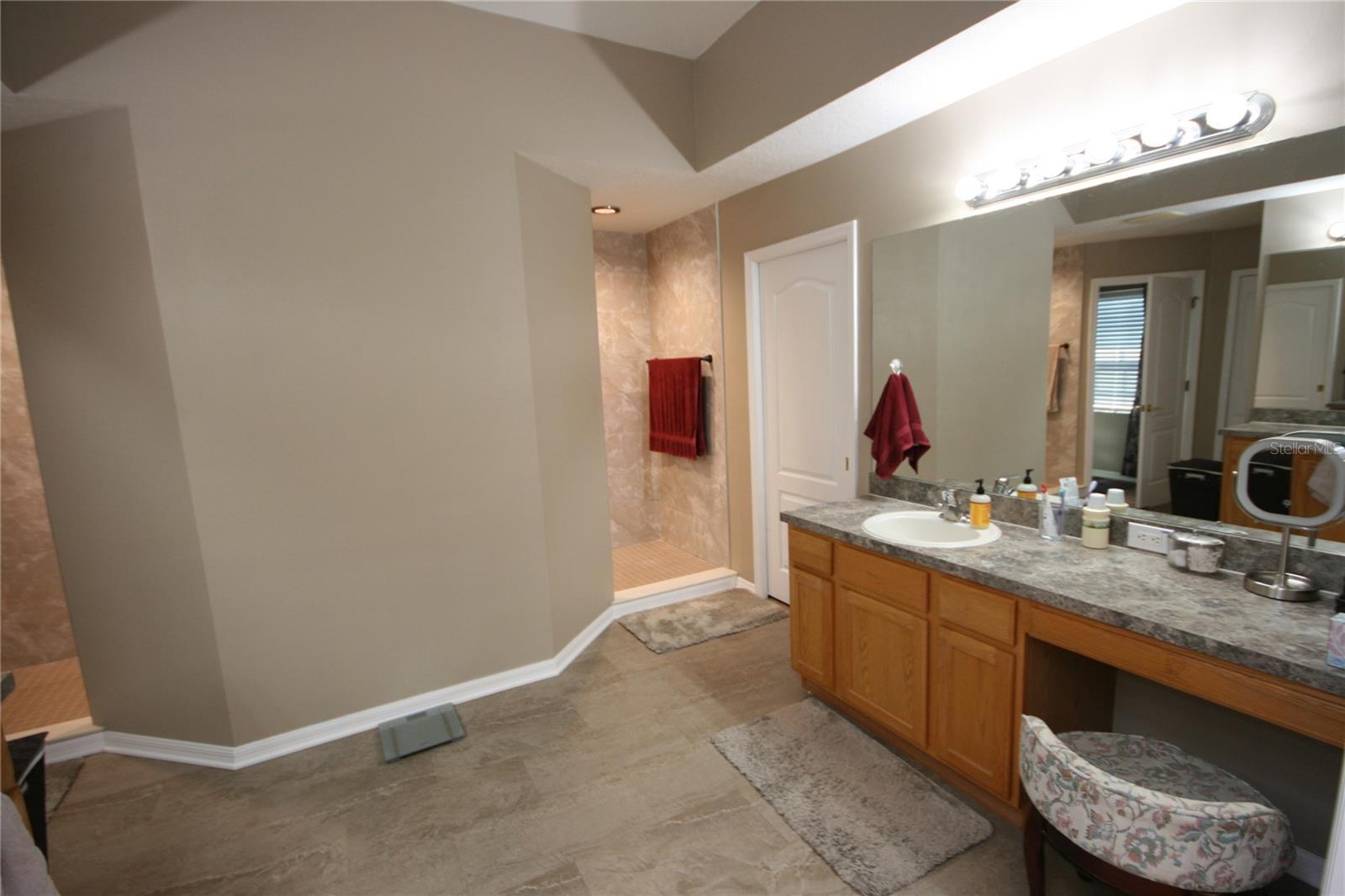 7334 NIGHT HERON DR, LAND O LAKES, FL, 34637