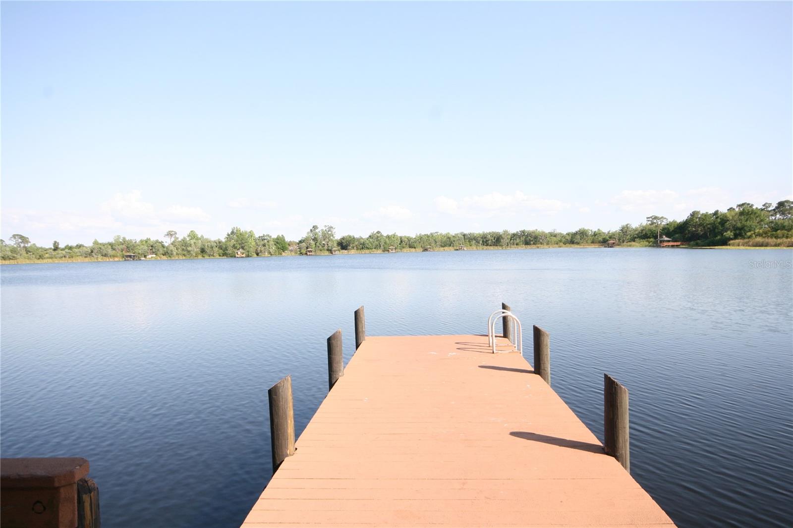 7334 NIGHT HERON DR, LAND O LAKES, FL, 34637