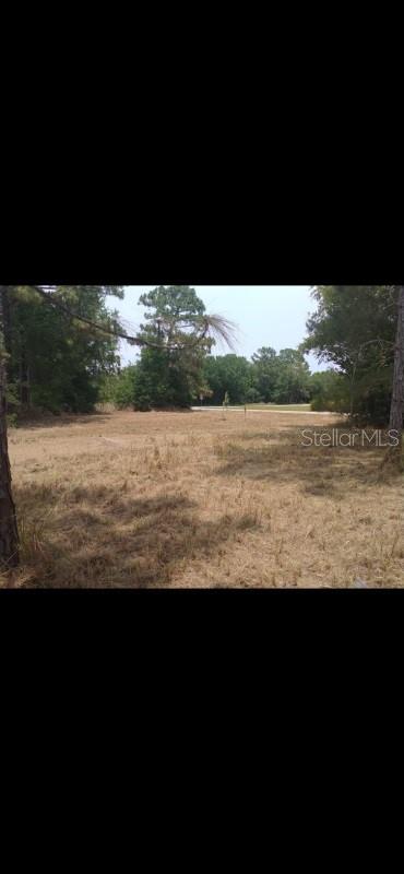 29 PINE TRACE LOOP, OCALA, FL, 34472