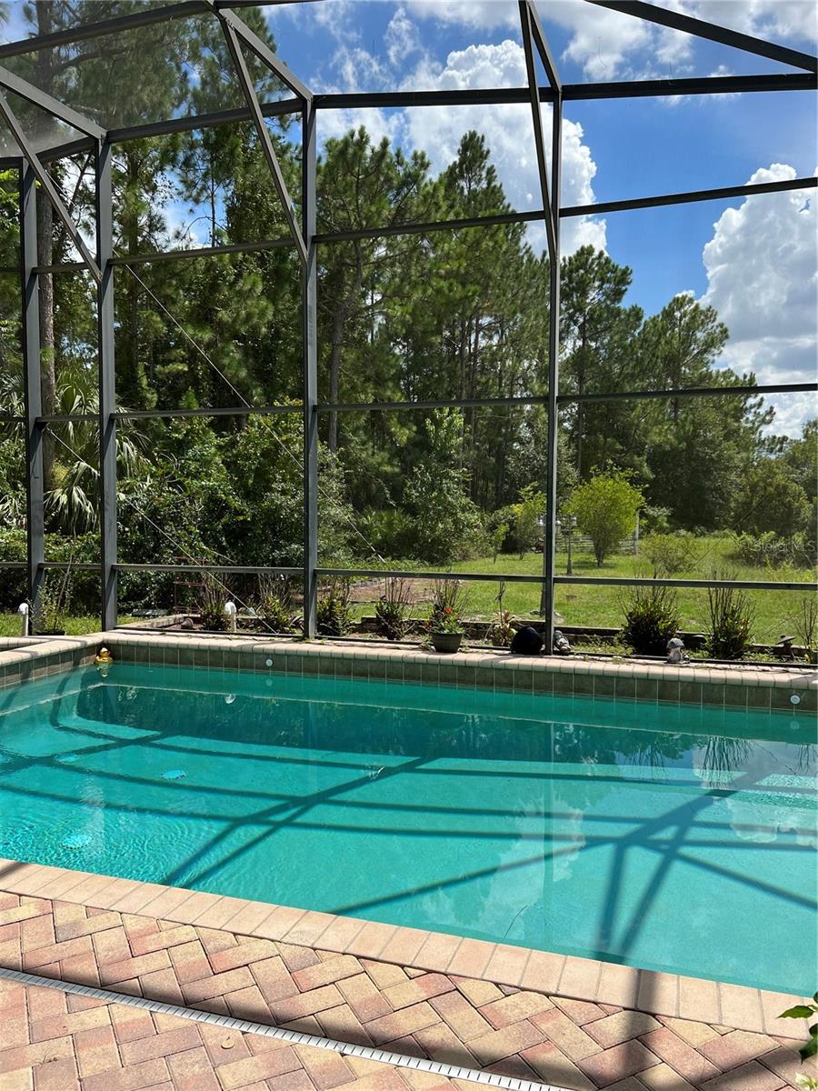 142 HARRINGTON CT, DAVENPORT, FL, 33837