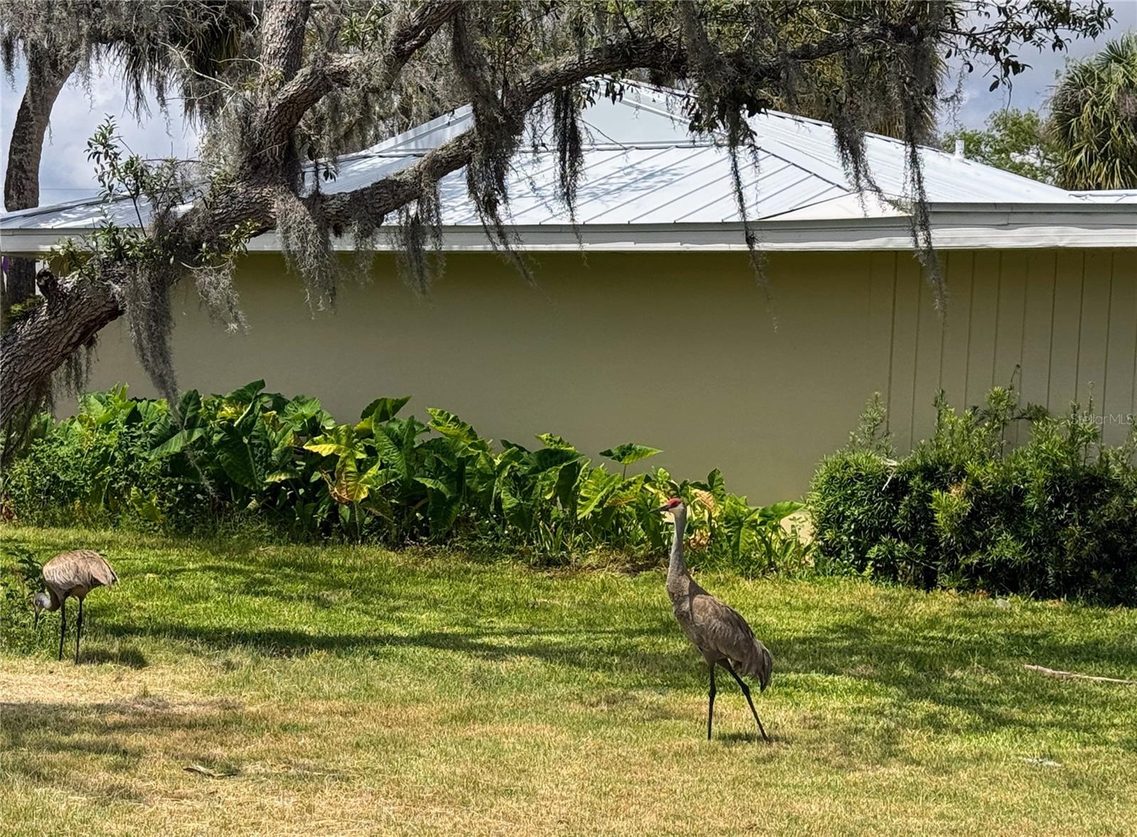 11473 W SANDPIPER CT, CRYSTAL RIVER, FL, 34429