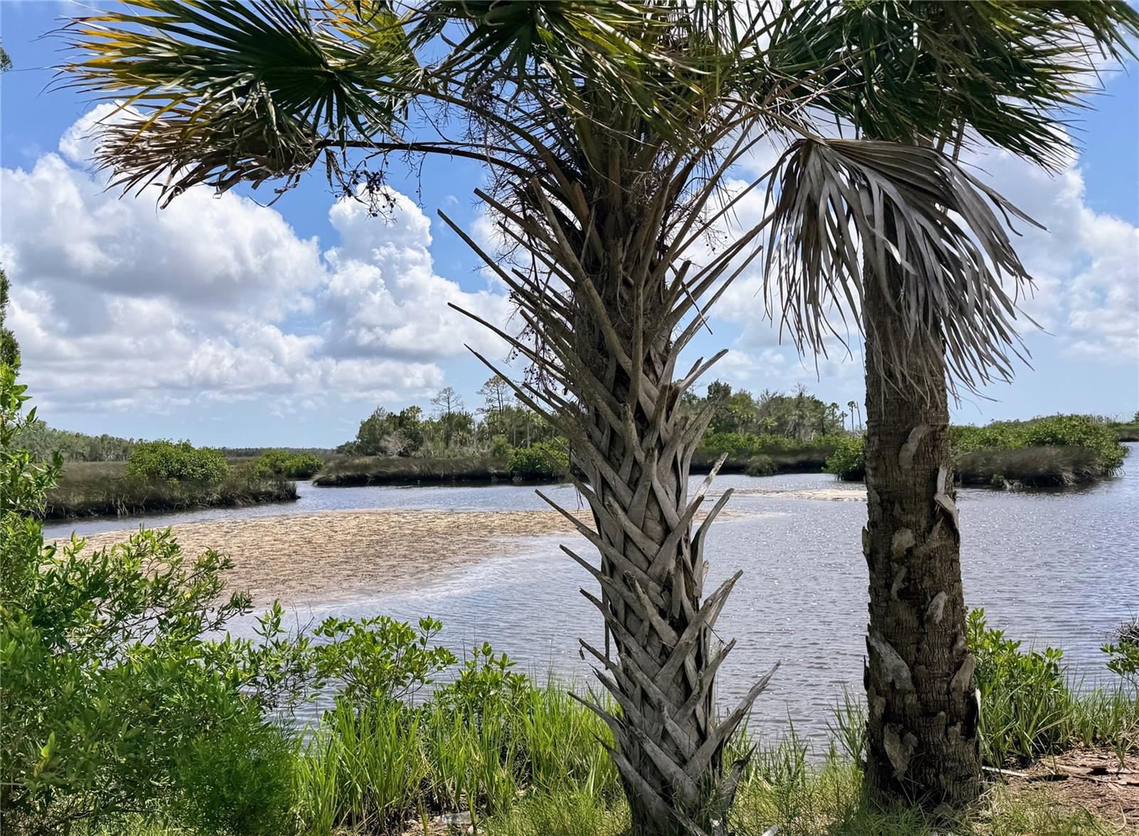 11473 W SANDPIPER CT, CRYSTAL RIVER, FL, 34429