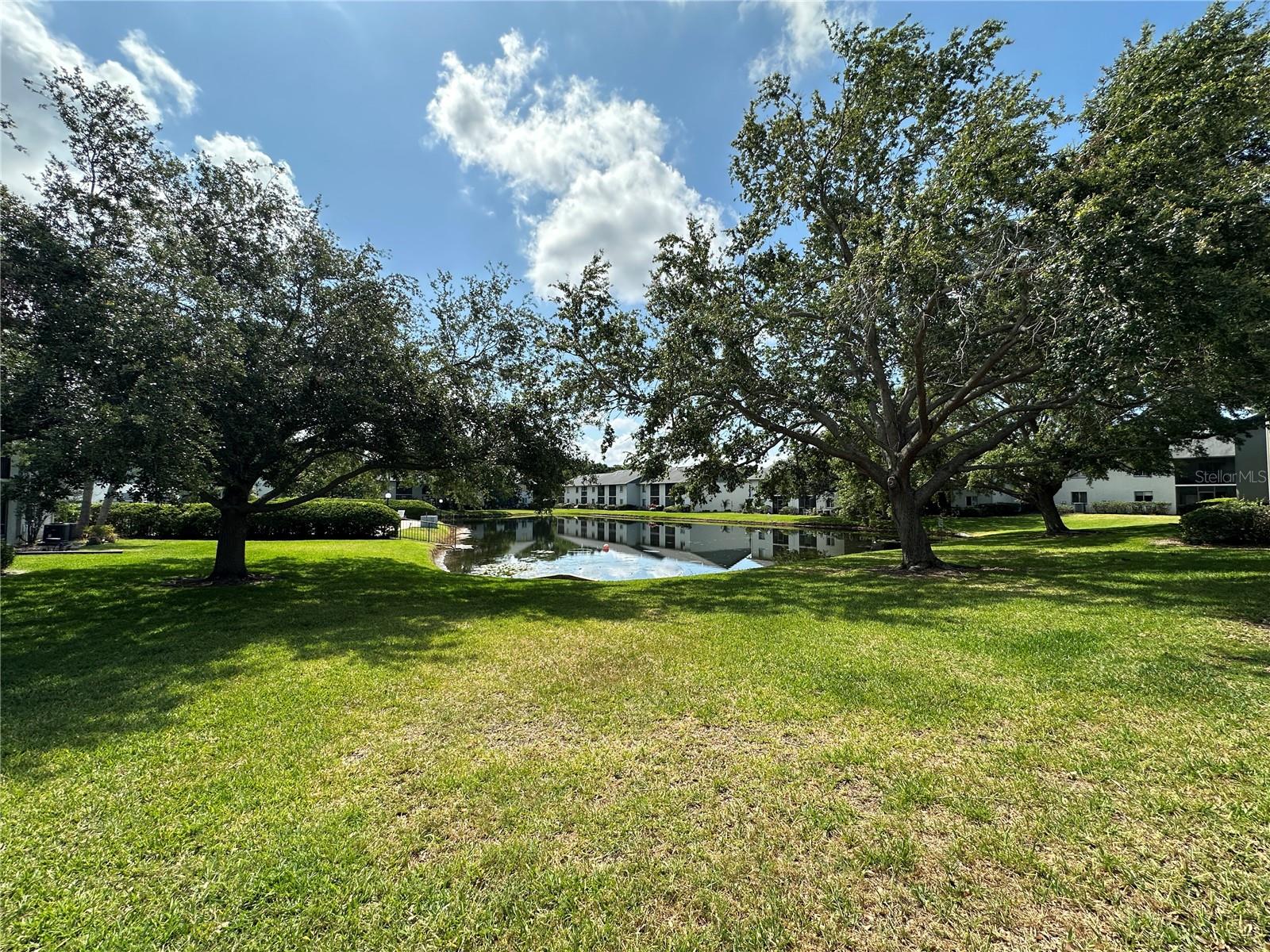 11201 122ND AVE #103, LARGO, FL, 33778