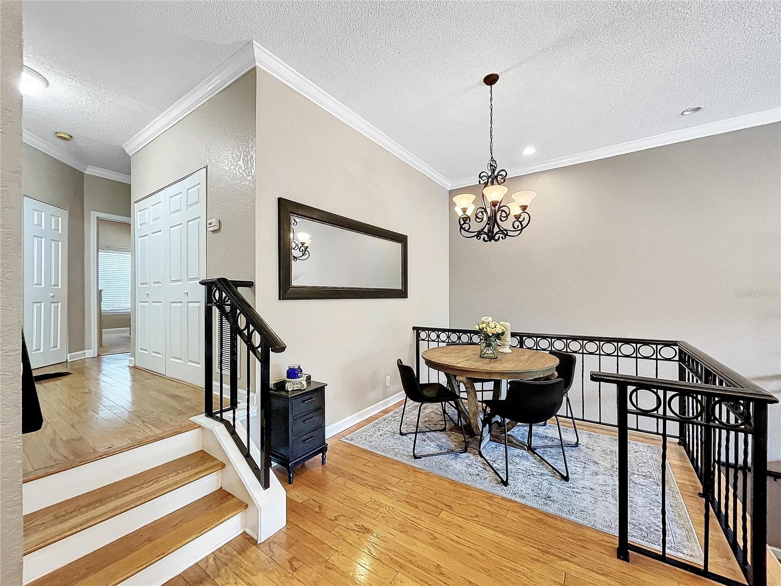 704 SEAGATE DR, TAMPA, FL, 33602