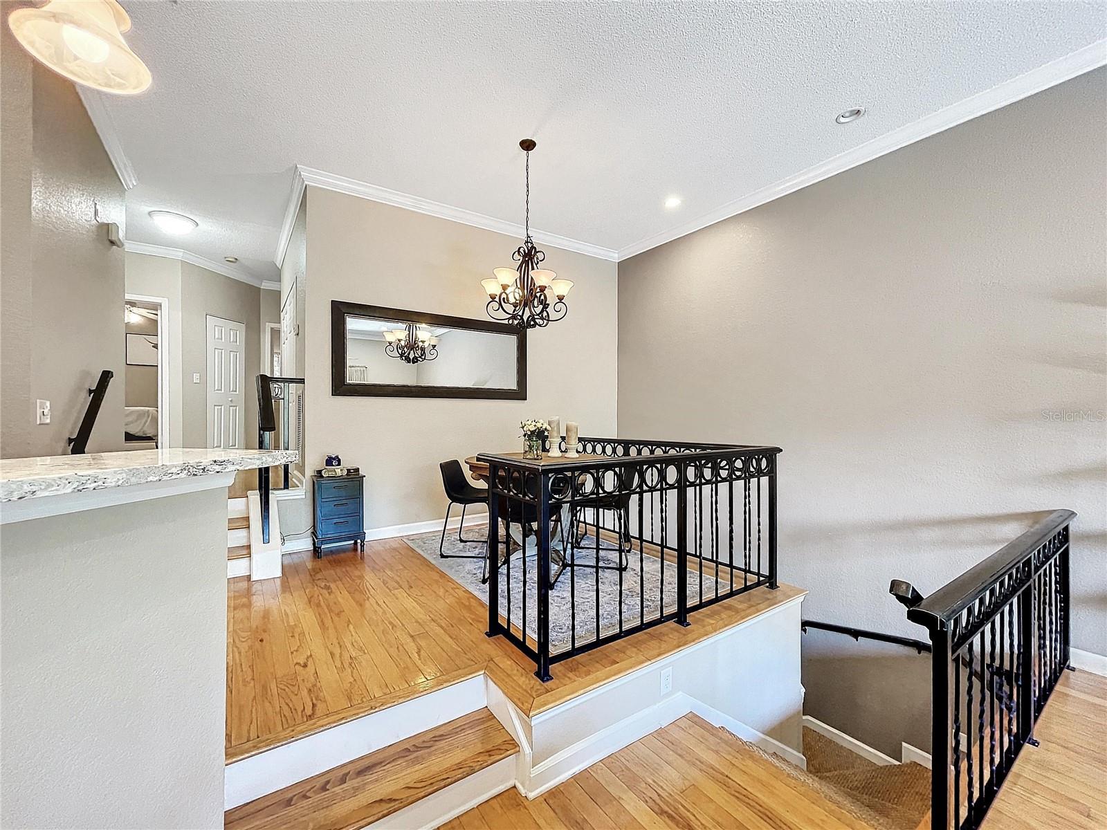 704 SEAGATE DR, TAMPA, FL, 33602