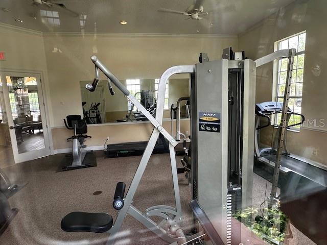 1275 LAKE SHADOW CIR #13208, MAITLAND, FL, 32751