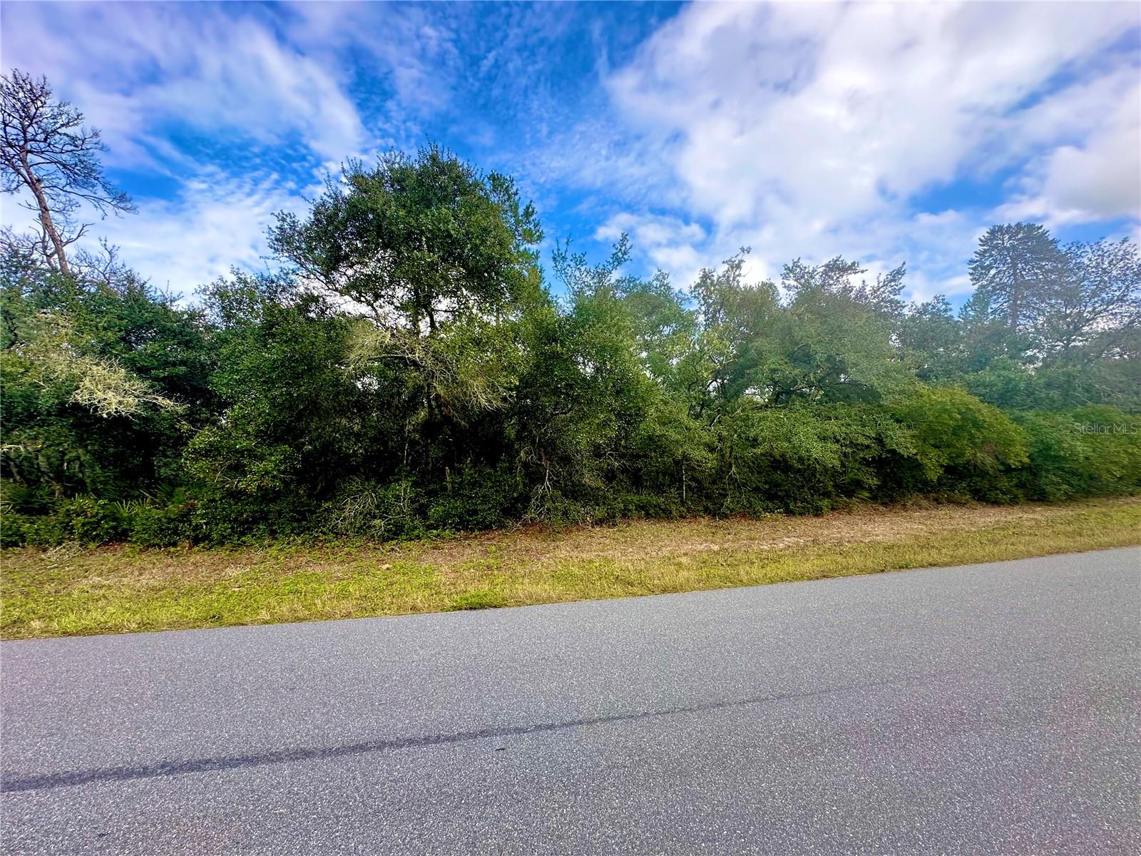 TBD SW 35TH COURT RD #Lot 09, OCALA, FL, 34473