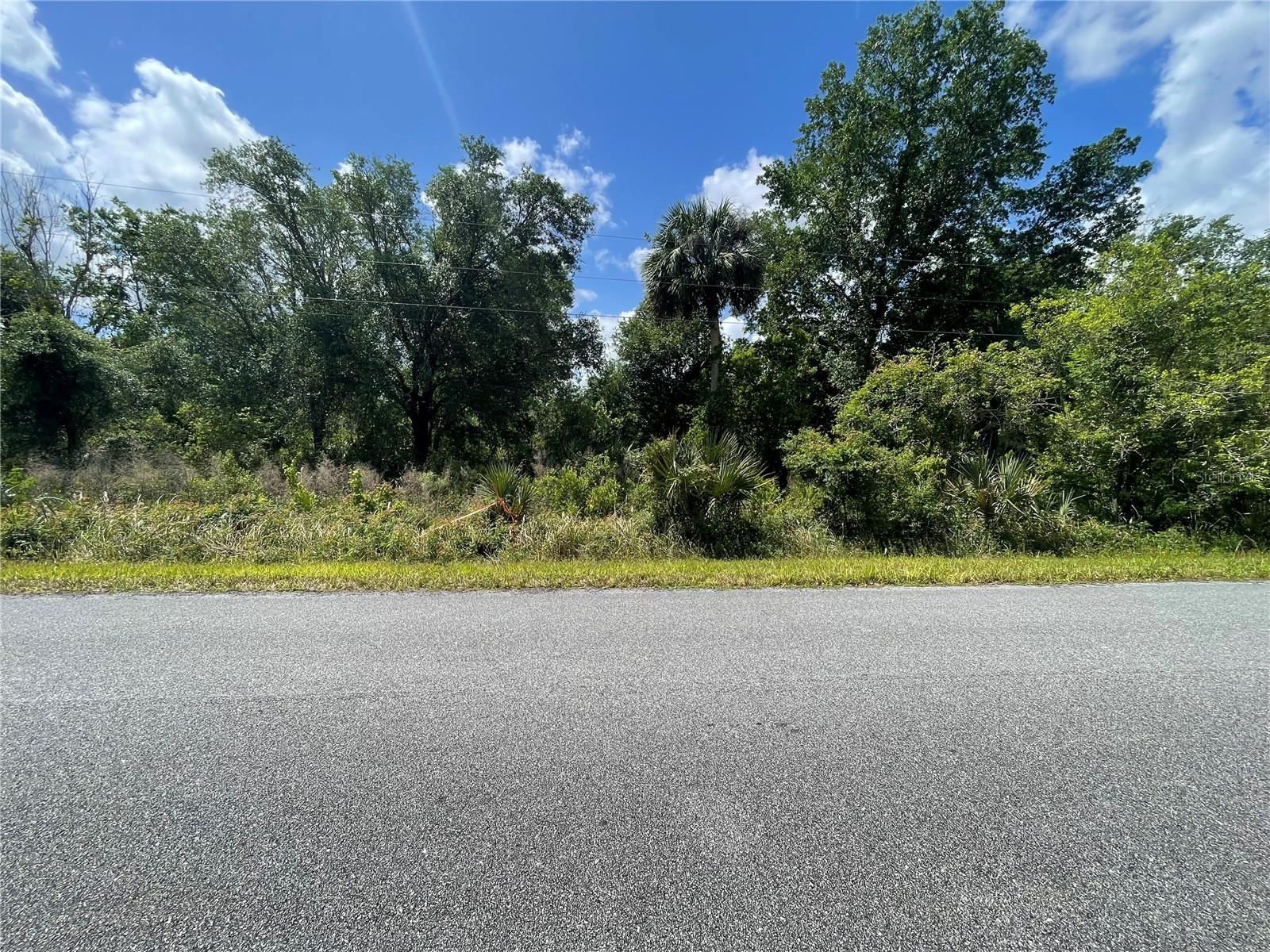 243 EMERALD RD, OCALA, FL, 34472