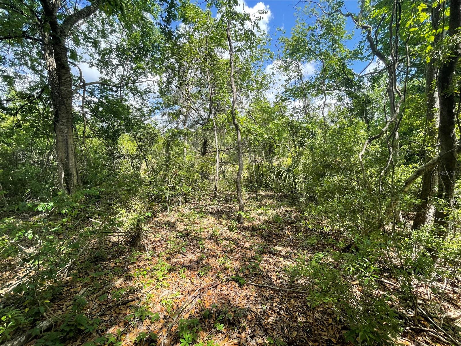 243 EMERALD RD, OCALA, FL, 34472