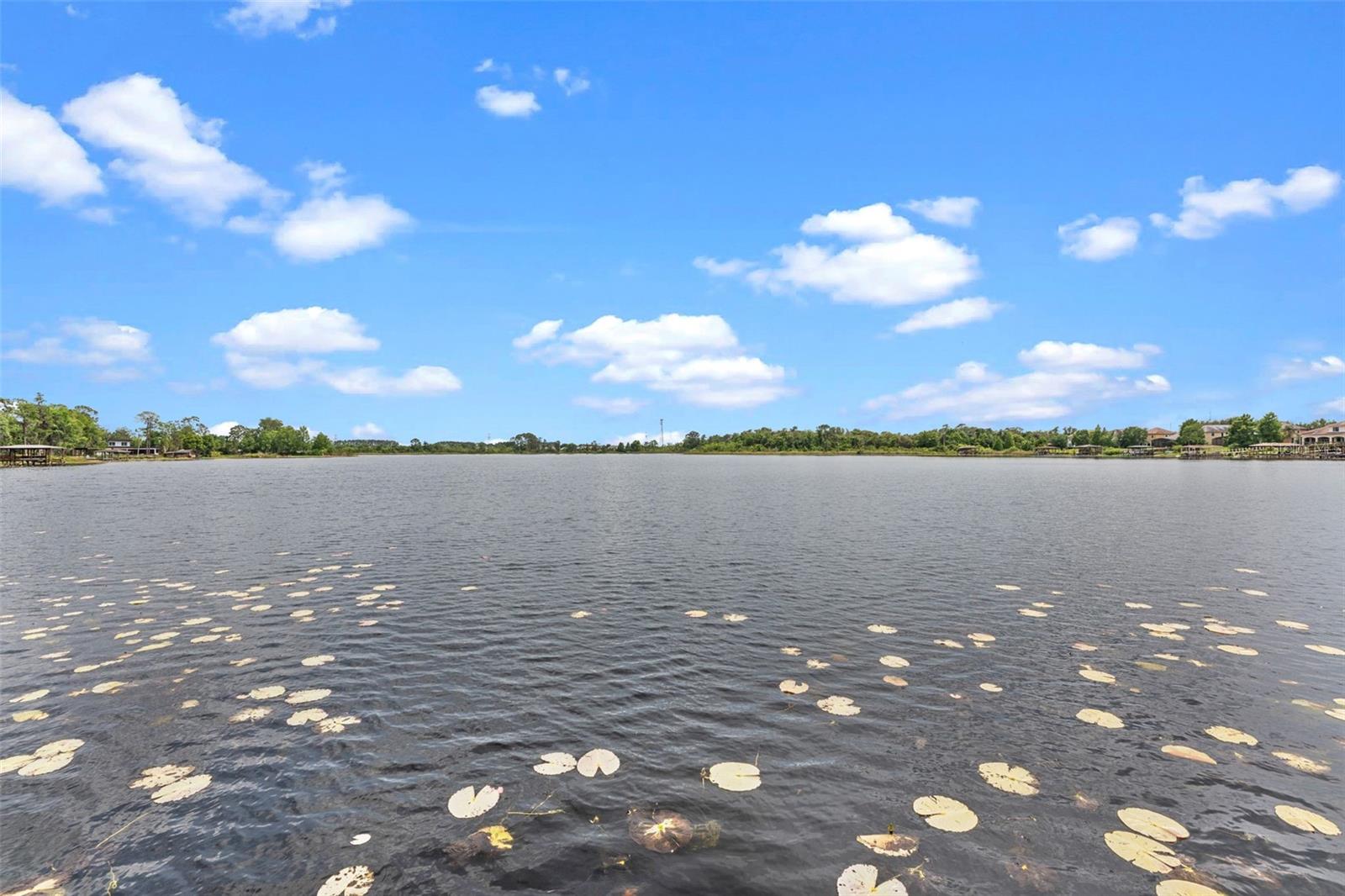 13120 ZORI LN, WINDERMERE, FL, 34786