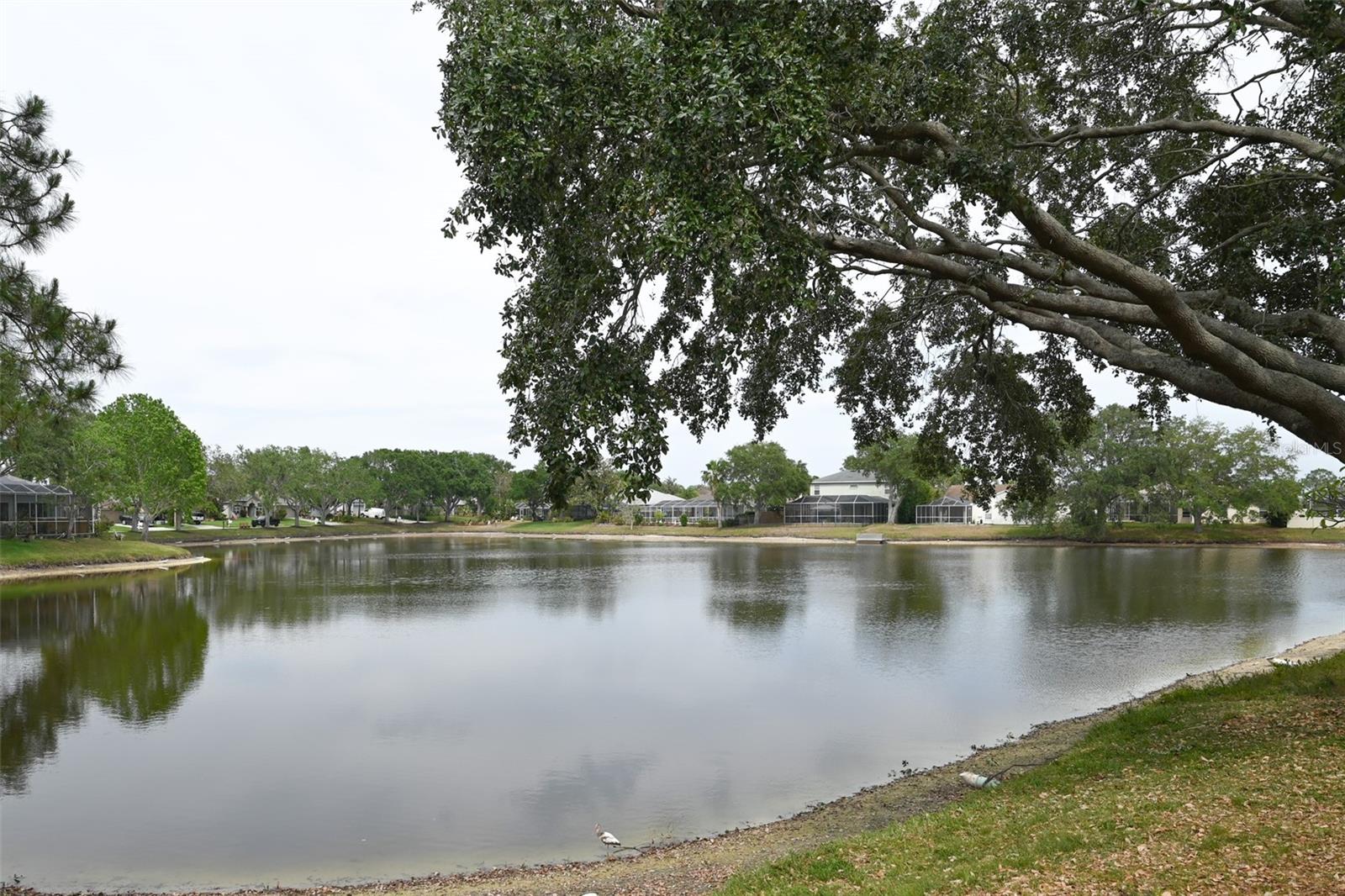 1121 RIVEREDGE DR, TARPON SPRINGS, FL, 34689