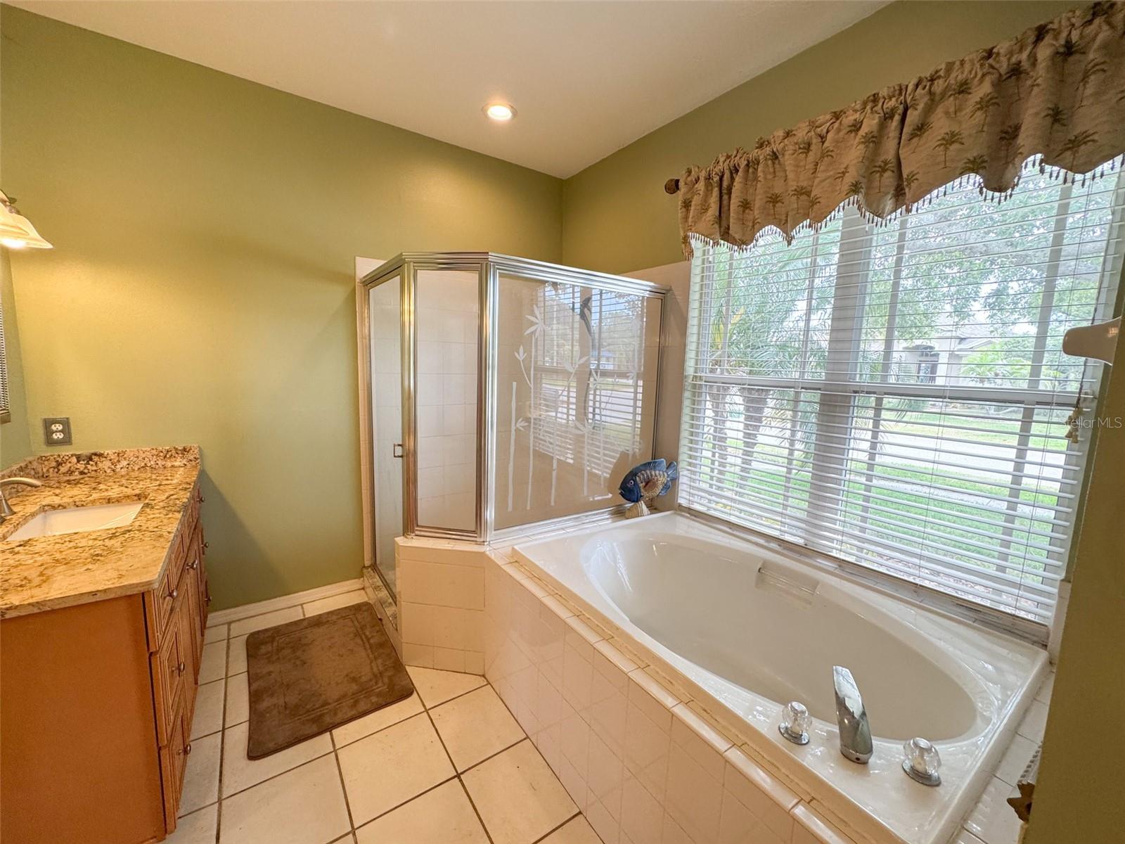 1121 RIVEREDGE DR, TARPON SPRINGS, FL, 34689