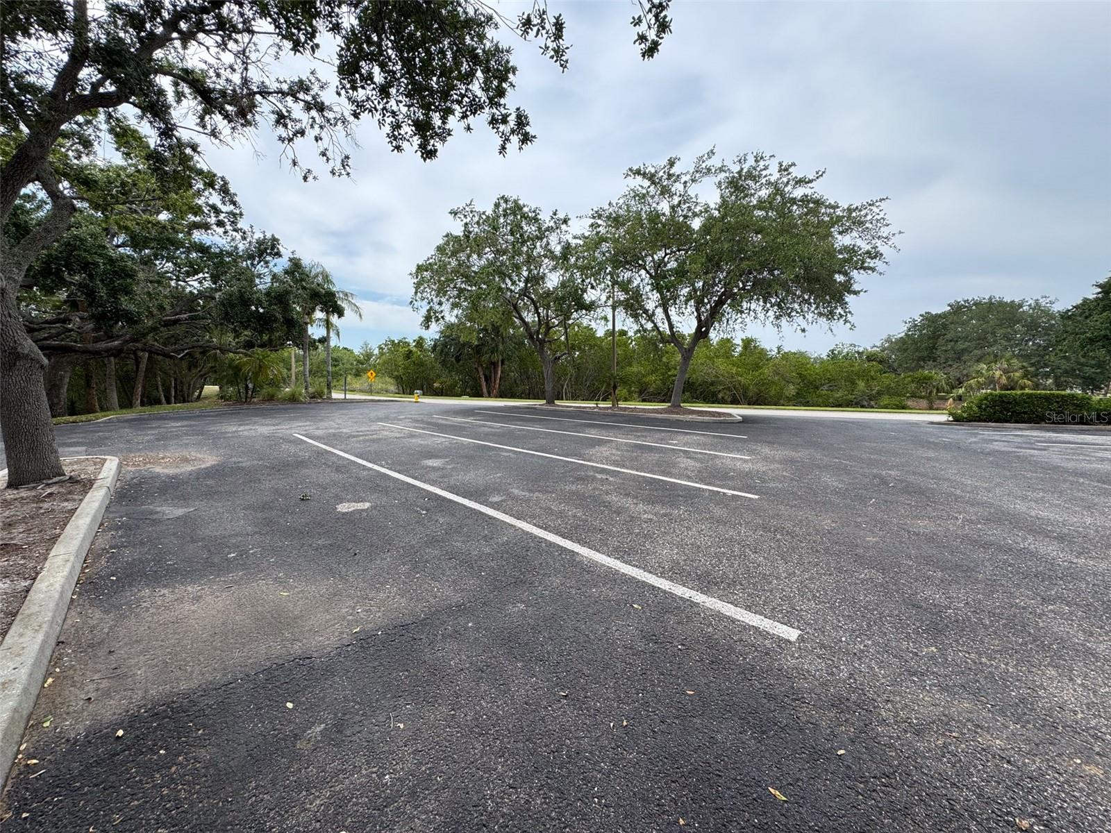 1121 RIVEREDGE DR, TARPON SPRINGS, FL, 34689