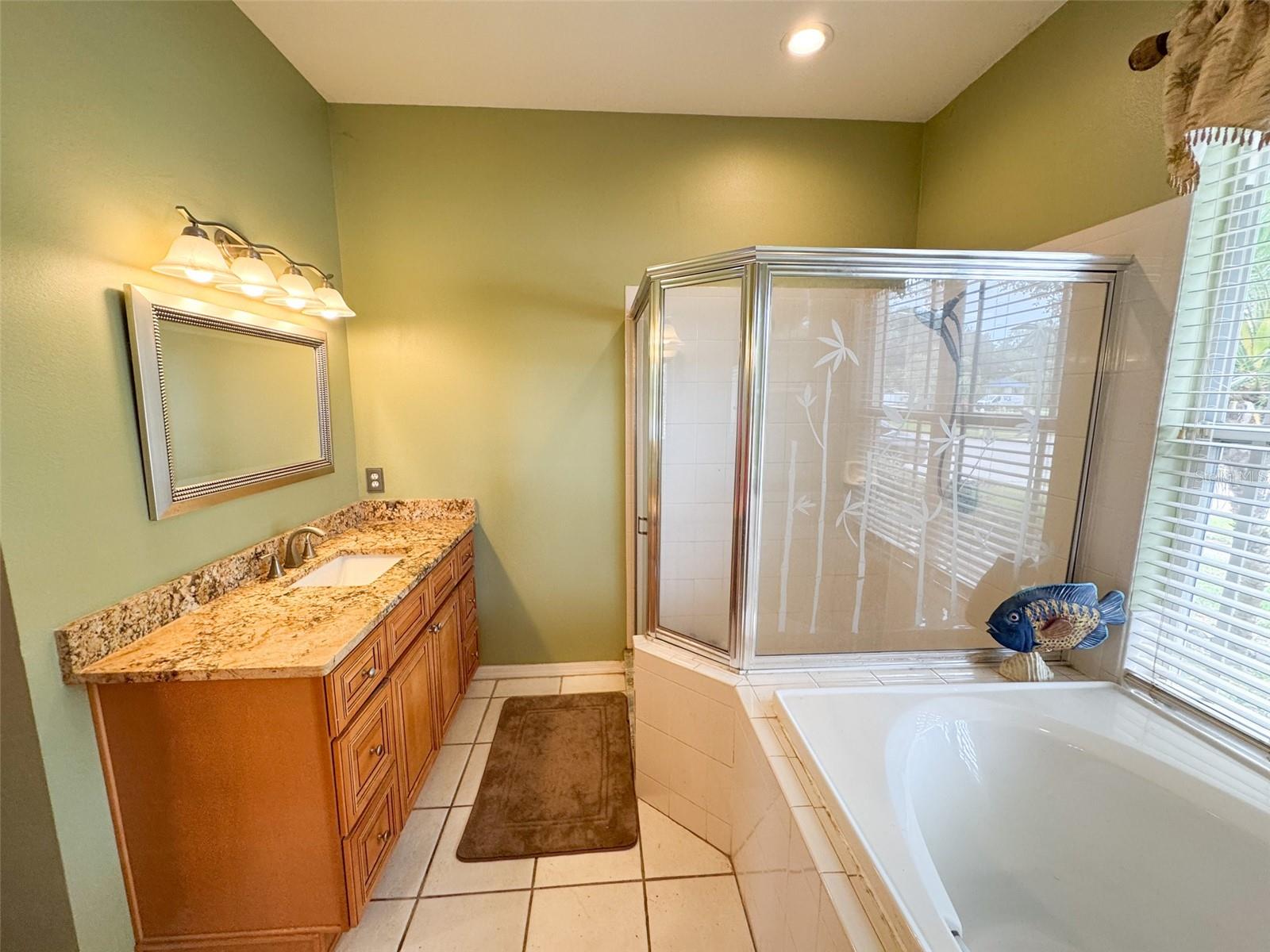 1121 RIVEREDGE DR, TARPON SPRINGS, FL, 34689