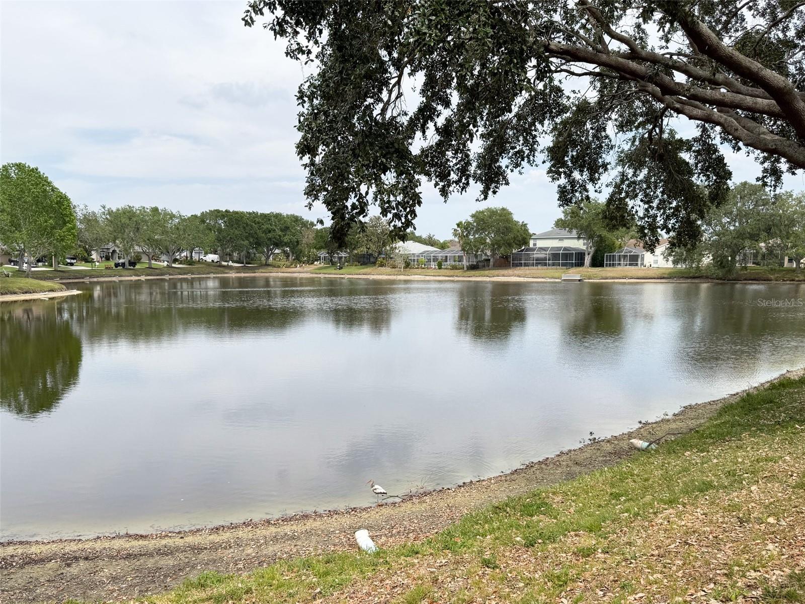 1121 RIVEREDGE DR, TARPON SPRINGS, FL, 34689