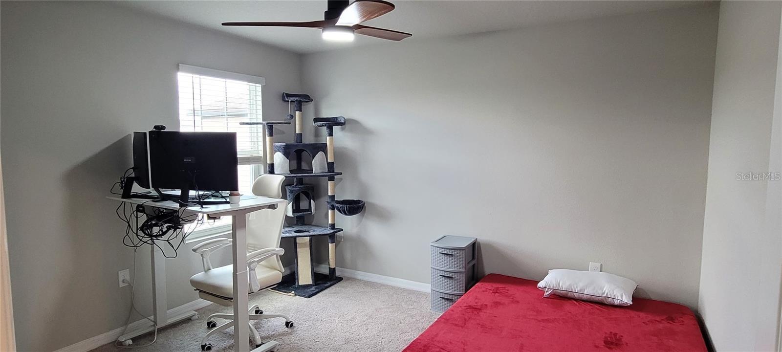 5288 STEPHS FIELD ST, ST CLOUD, FL, 34771