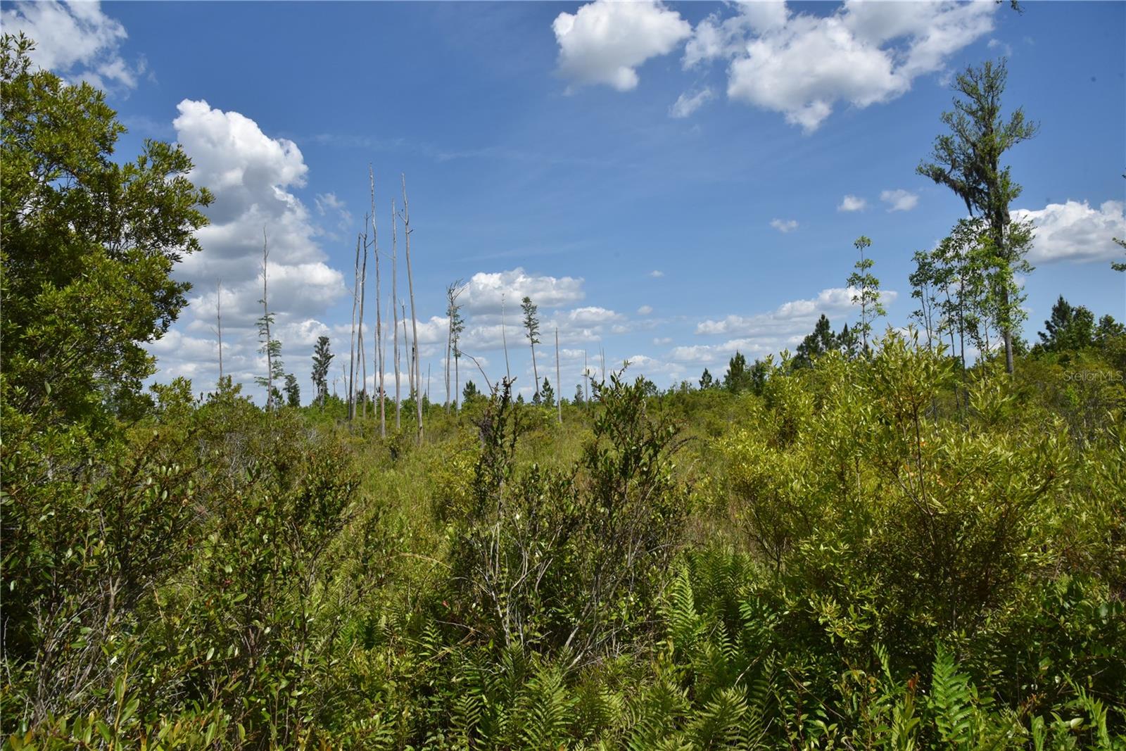 OFF HWY 225, GAINESVILLE, FL, 32609