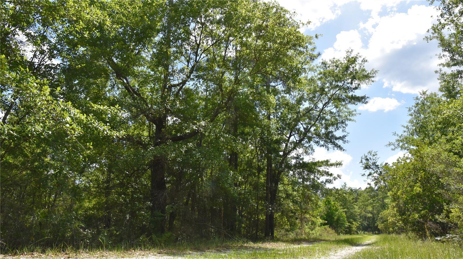 OFF HWY 225, GAINESVILLE, FL, 32609