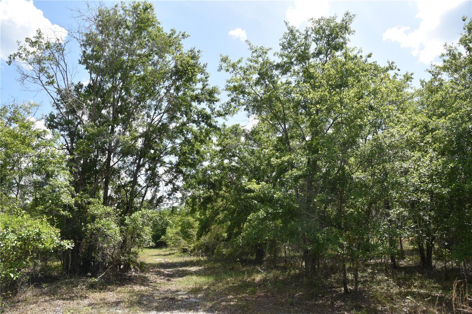 OFF HWY 225, GAINESVILLE, FL, 32609