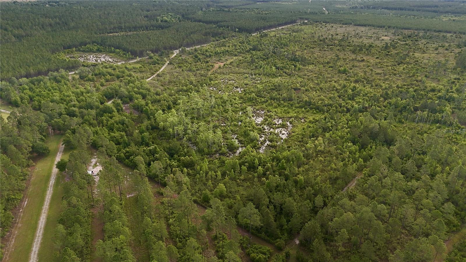 OFF HWY 225, GAINESVILLE, FL, 32609