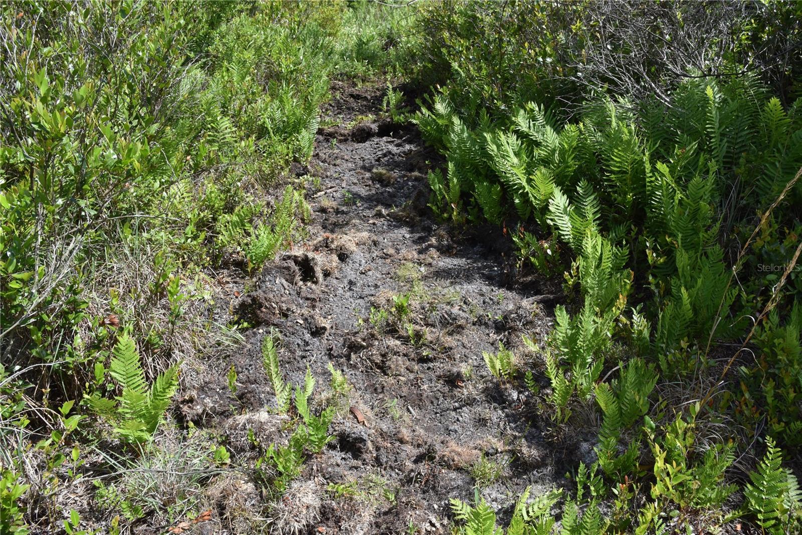 OFF HWY 225, GAINESVILLE, FL, 32609